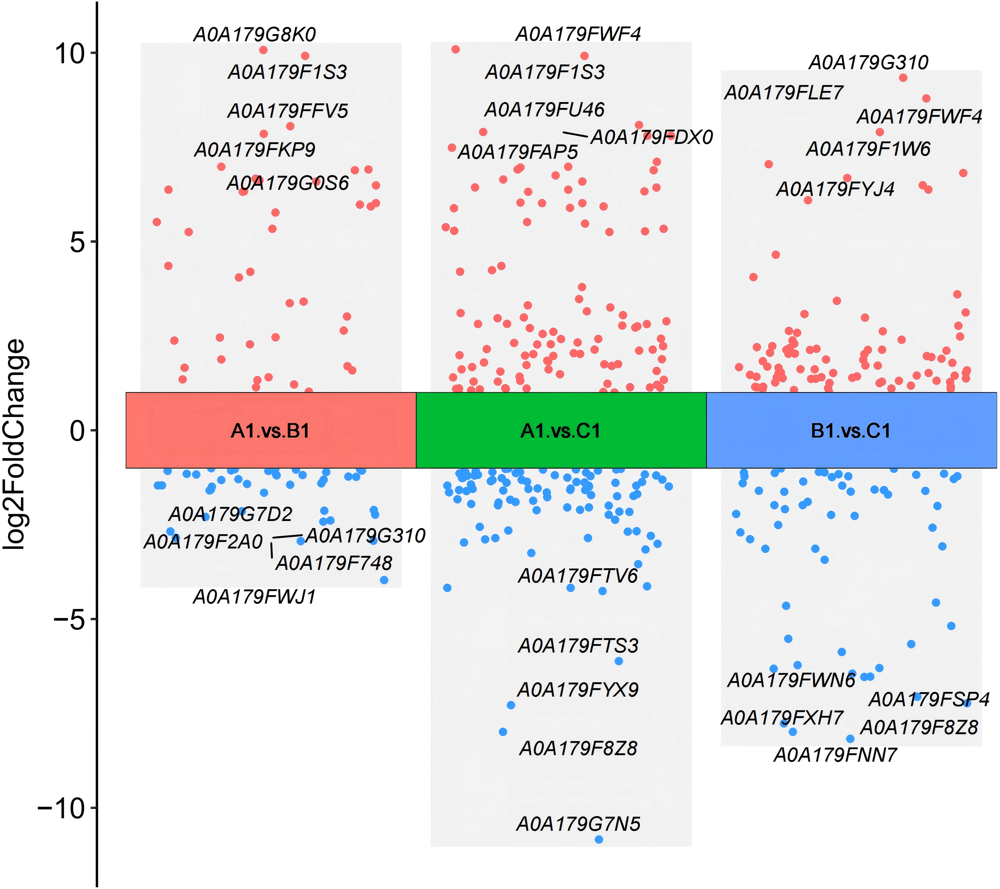 Scatter plot showing log2 fold change for different comparisons: A1 vs. B1, A1 vs. C1, and B1 vs. C1. Red dots indicate upregulated elements, while blue dots represent downregulated elements. Each section is labeled with protein identifiers like A0A179G8K0 and A0A179F1W6.