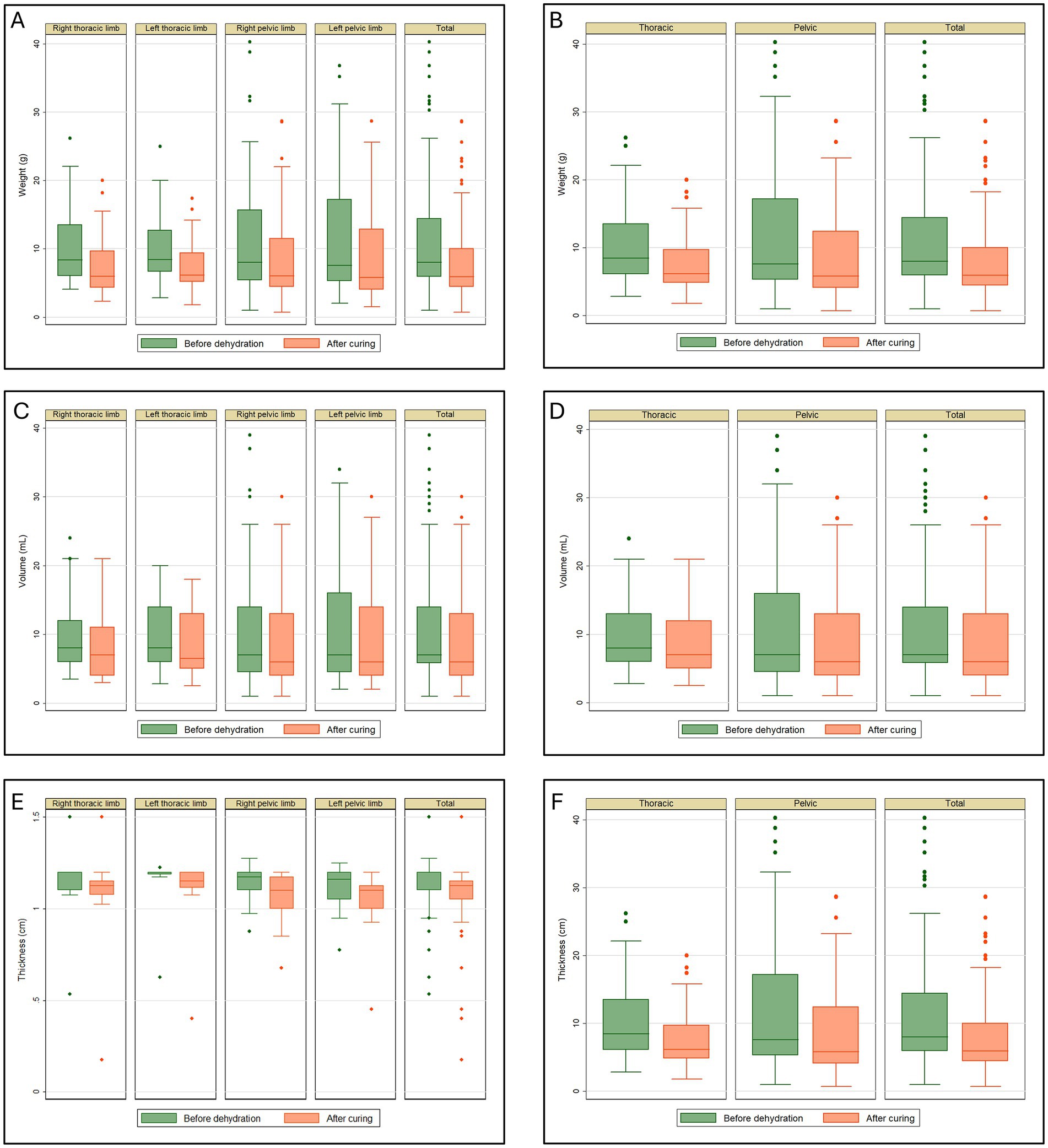 Box plots show data comparisons before dehydration and after curing in sections of the crab-eating fox limbs. Green indicates values before dehydration, orange after curing. Panels A and B display weight shrinkage, C and D show volume, and E and F depict thickness. Each panel subdivides the data into specific body regions, such as total, right, and left thoracic limbs; total, right, and left pelvic limbs; and all individual sections of both limbs. The values reflect the variability of each shrinkage measurement.