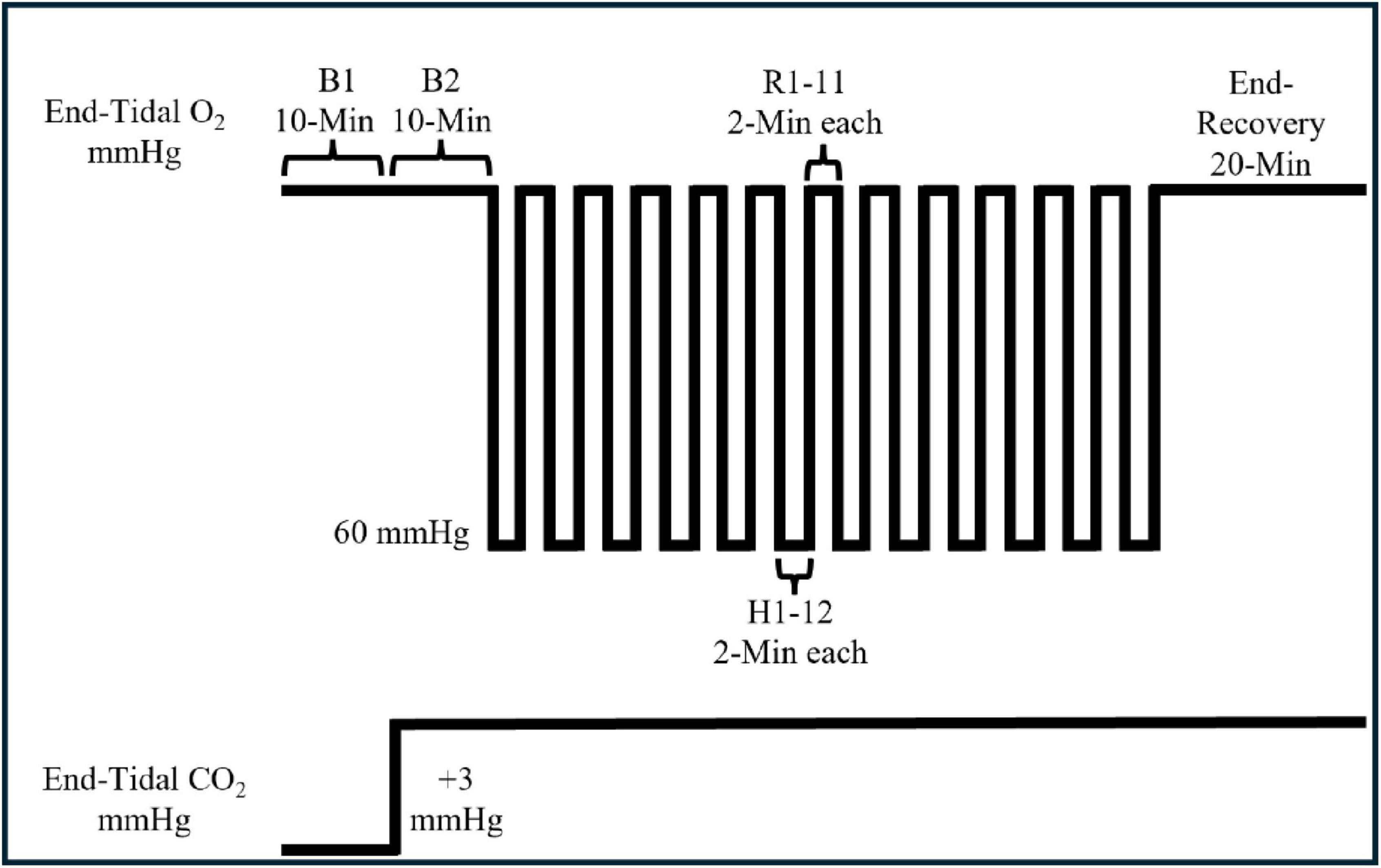 Diagram showing a sequence of end-tidal oxygen levels at 60 mmHg with phases B1 and B2 lasting 10 minutes each, followed by fluctuating phases R1 to R11 for 2 minutes each, and H1 to H12 for 2 minutes each. This is followed by a 20-minute end-recovery period. Below, end-tidal carbon dioxide levels are depicted with a constant increase of 3 mmHg.