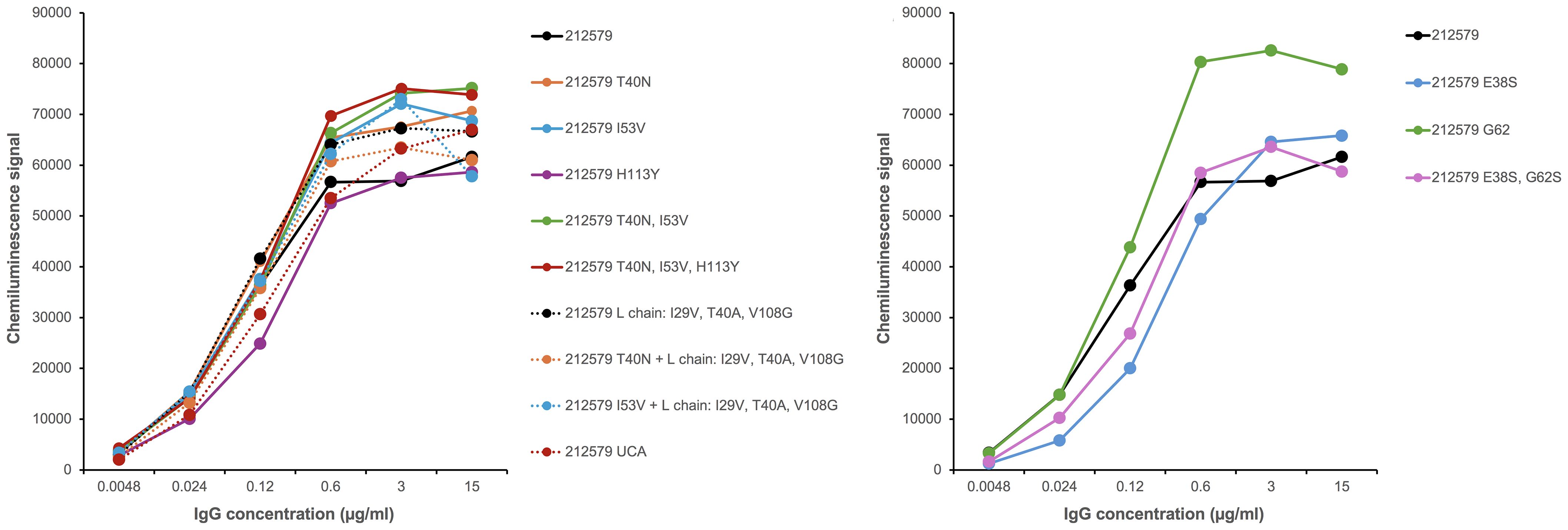 Two line graphs show the correlation between IgG concentration and chemiluminescence signal, with various mutations indicated by different colored lines and markers. The left graph includes mutations like T40N and H113Y, while the right graph features substitutions E38S and G62 that relate to variation in complementarity determining regions present in alleles of IGHV3-48. Both graphs depict increasing chemiluminescence signals with higher IgG concentrations, illustrating that all variants recognise the allergen in a solid phase assay format.