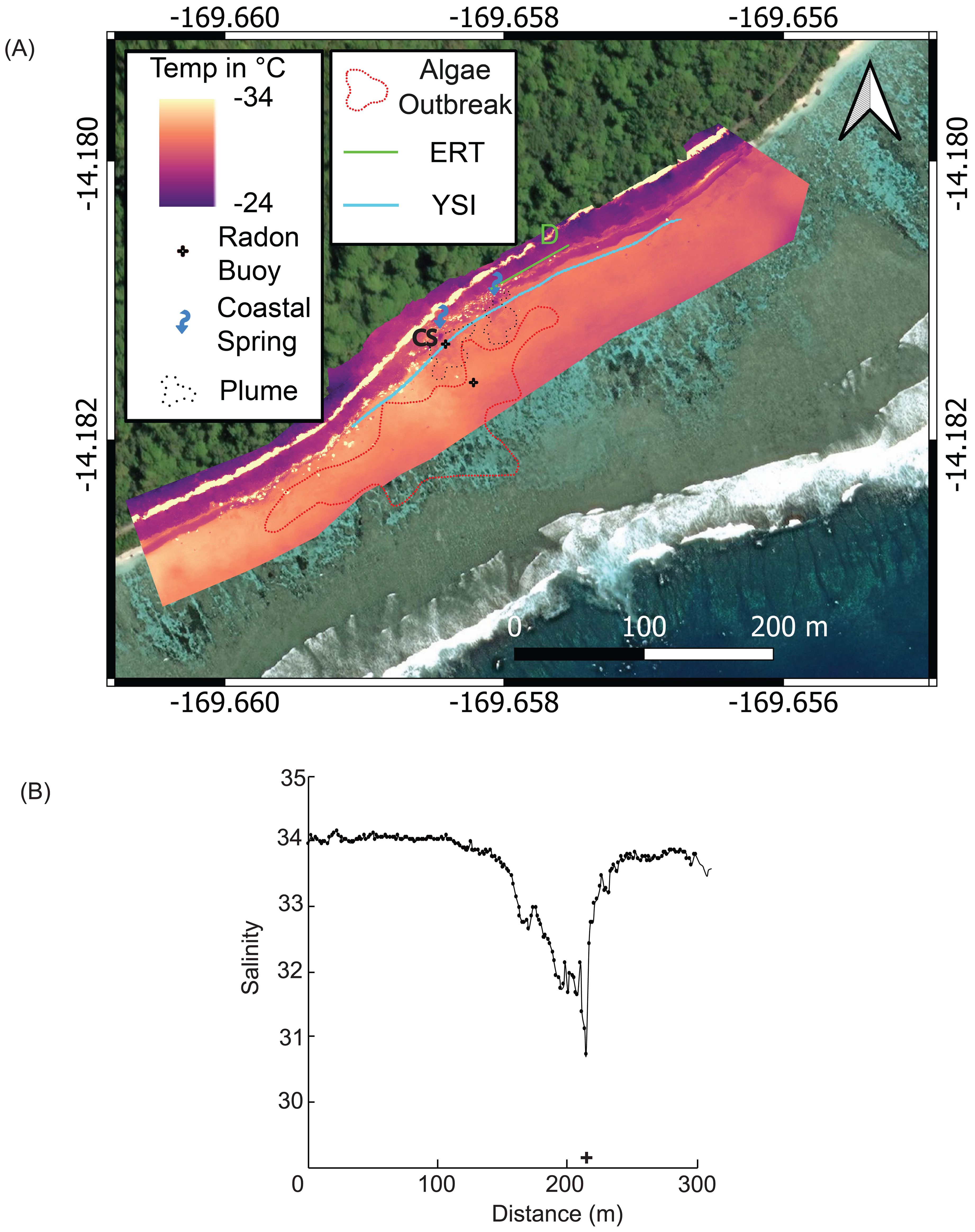 Map (A) shows a coastal area with an overlay of temperature data, ranging from 34°C to 24°C, and features such as algae outbreak, radon buoy, coastal spring, plume, ERT, and YSI are indicated. (B) is a line graph of salinity versus distance, showing a notable dip in salinity around 200 meters.