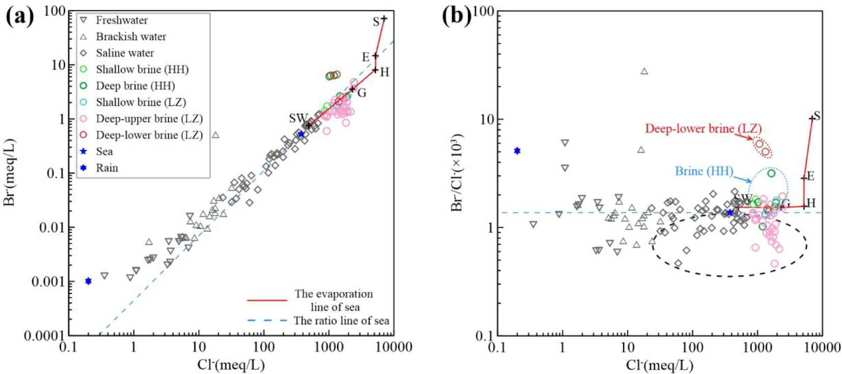 Two scatter plots compare concentrations of bromide (Br) and chloride (Cl) in various waters. Plot (a) shows Br versus Cl, with data points for freshwater, brackish water, saline water, various types of brines, sea, and rain. Plot (b) depicts Br/Cl ratio versus Cl. Red and blue lines indicate evaporation and sea ratio lines. Data points cluster along these lines, indicating relationships between water types.