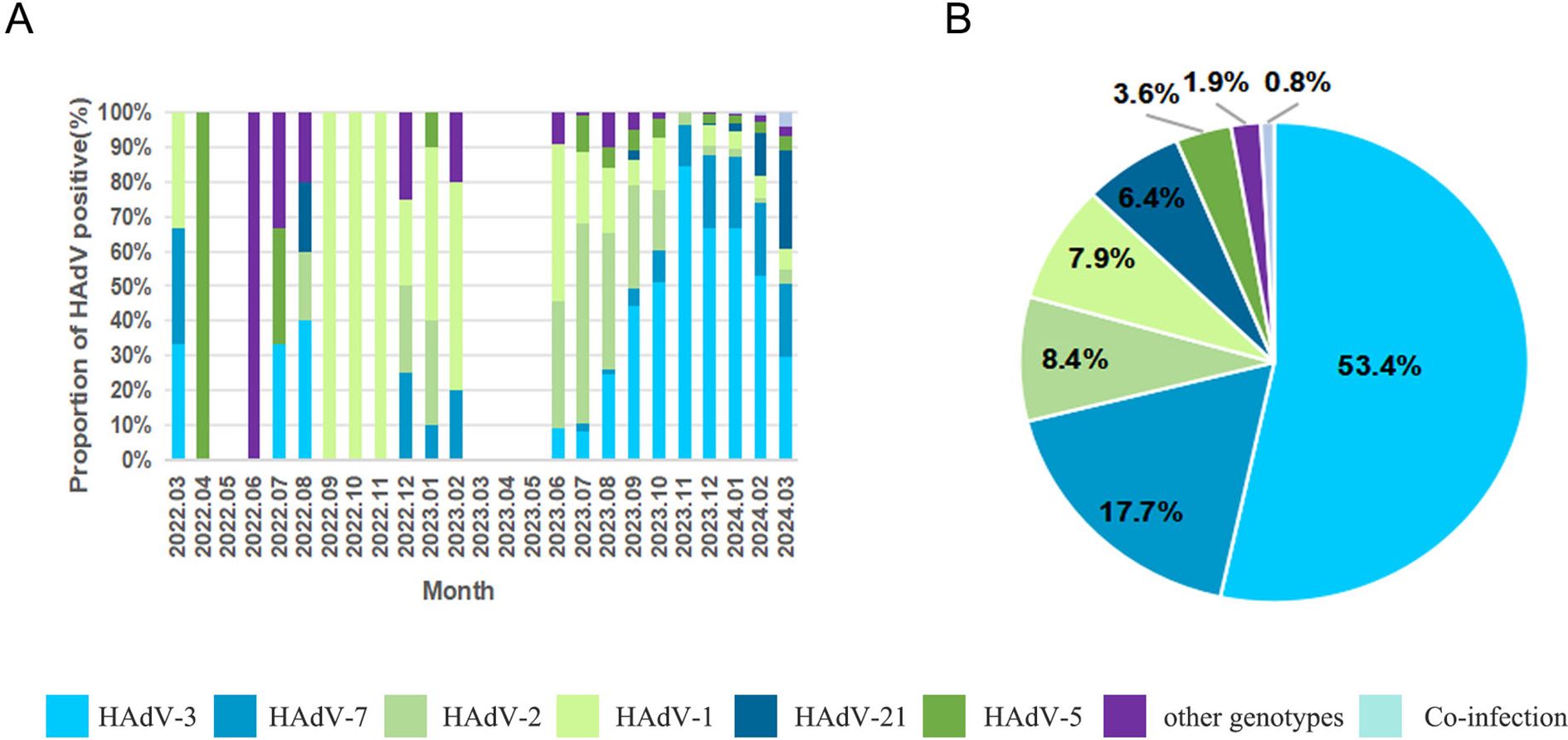 Bar and pie charts show the proportion of HAdV positive cases over time and their genotype distribution. The bar chart indicates monthly variations from March 2022 to March 2024, while the pie chart shows HAdV-3 at 53.4%, HAdV-7 at 17.7%, and other genotypes making up the rest. Legends identify genotype colors.