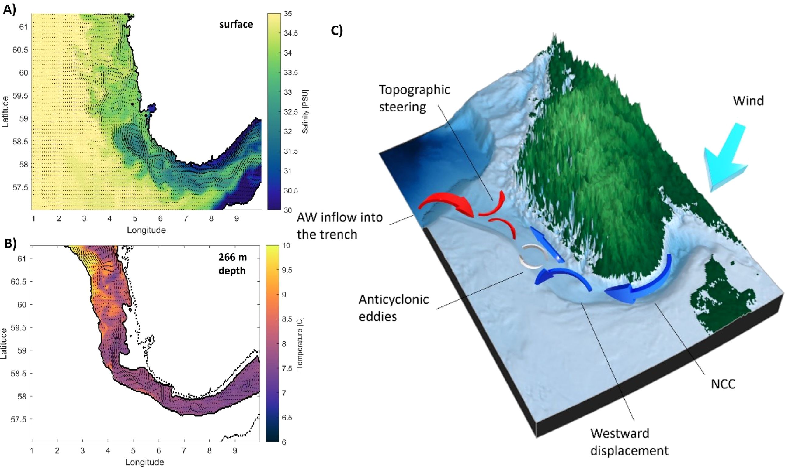 Panel A shows a surface salinity map with values ranging from 30.5 to 35 PSU, indicating variations along the coast. Panel B depicts temperature at a depth of 266 meters, ranging from 6 to 9.5 degrees Celsius. Panel C is a 3D illustration of oceanic processes, showing topographic steering, AW inflow into a trench, anticyclonic eddies, and wind effects.
