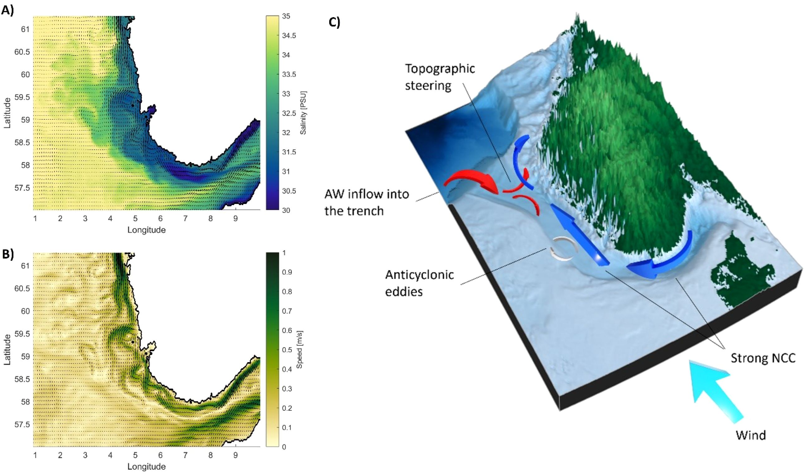 Panel A is a salinity map showing variations from 30 to 35 PSU along latitudes 57.5 to 60.5 and longitudes 1 to 9. Panel B is a speed map ranging up to 1 meter per second along the same coordinates. Panel C is a 3D diagram illustrating oceanographic patterns, including topographic steering, AW inflow into a trench, anticyclonic eddies, and strong NCC driven by wind.