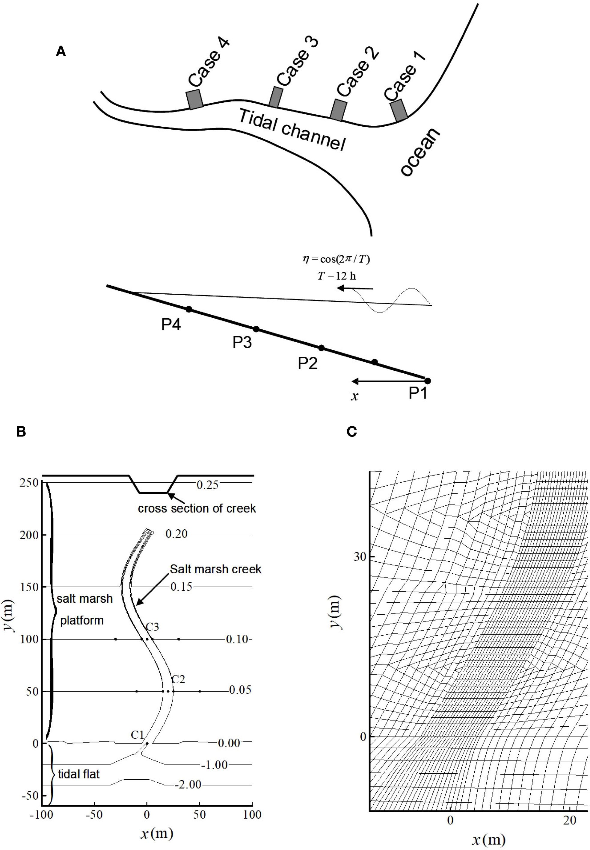Diagram depicting a tidal channel and related features with three panels. Panel A illustrates the tidal channel's layout, showing various cases and ocean connection. Panel B displays cross-sections of the creek, salt marsh, platform, and tidal flat along a horizontal axis with metrics. Panel C shows a grid overlay on a contour map, indicating terrain complexity.
