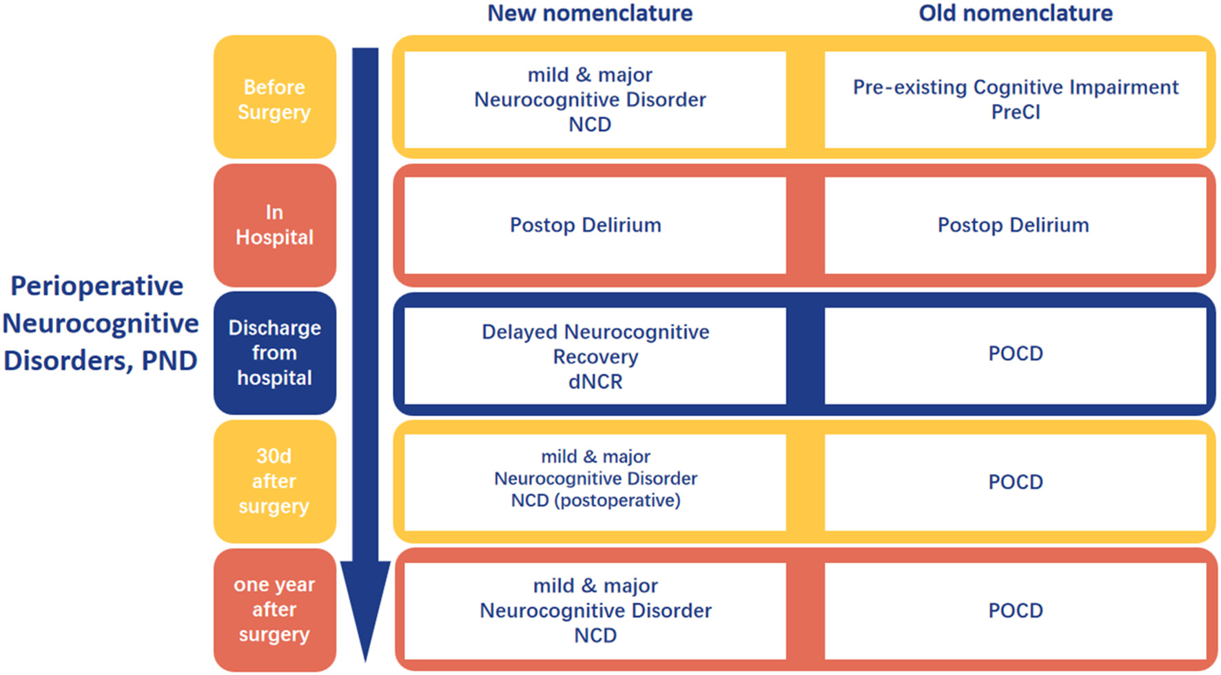 Flowchart comparing new and old nomenclature for Perioperative Neurocognitive Disorders (PND) over time. Before surgery: “mild & major Neurocognitive Disorder (NCD)” vs. “Pre-existing Cognitive Impairment (PreCI).” In hospital: “Postop Delirium” for both. Discharge from hospital: “Delayed Neurocognitive Recovery (dNCR)” vs. “POCD.” Thirty days after surgery: “mild & major Neurocognitive Disorder (NCD postoperative)” vs. “POCD.” One year after surgery: “mild & major Neurocognitive Disorder (NCD)” vs. “POCD.” Color-coded sections indicate timeframes and terminology changes.