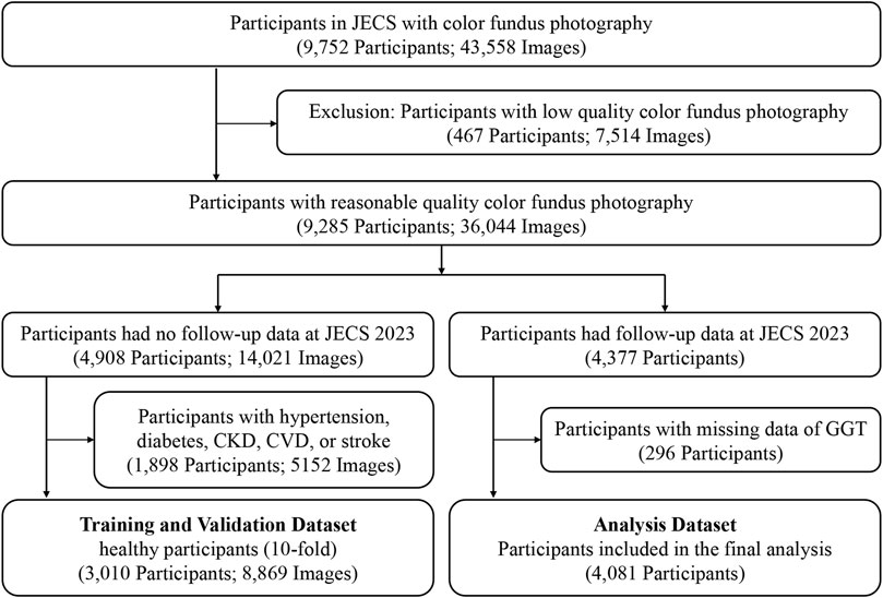 Flow chart outlining the selection process for participant data in this study. It begins with 9,752 participants with 43,558 fundus images at JECS, excluding 467 fundus images due to low quality, leaving 9,285 participants with 36,044 reasonable quality images. These are split into two groups: 4,908 participants with no data at JECS 2023, and 4,377 participants had follow-up data at JECS 2023.