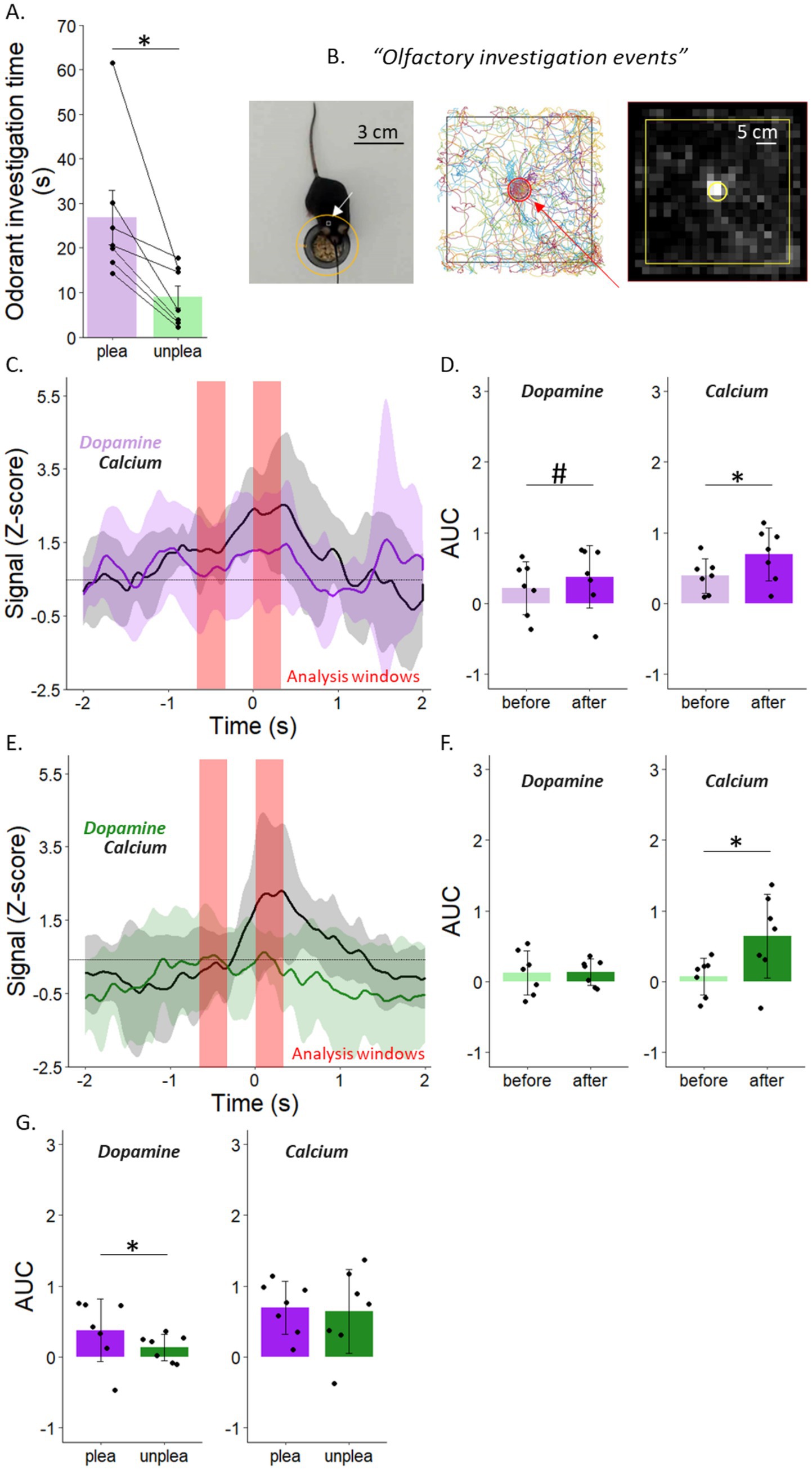 Panel A shows a bar graph comparing odorant investigation time for pleasant vs. unpleasant scents, indicating longer times for pleasant. Panel B includes images related to