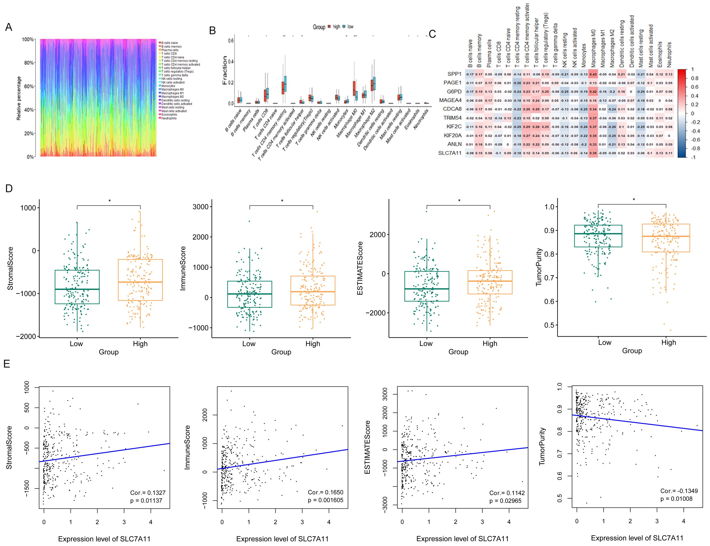 A multi-panel figure showing various data visualizations. Panel A is a stacked bar chart of immune cell composition. Panel B is a box plot comparing cell fractions between two groups. Panel C is a heatmap of gene expression correlations. Panel D contains multiple box plots comparing scores between low and high groups. Panel E includes scatter plots showing correlations between SLC7A11 expression and different scores. Each plot features distinct legends and labels for clarity.