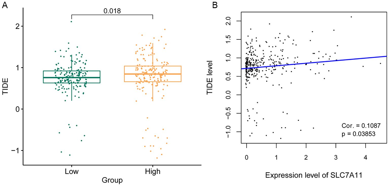 Panel A shows a box plot comparing TIDE levels between low and high groups, with a significant difference indicated by a p-value of 0.018. Panel B presents a scatter plot showing a positive correlation between TIDE levels and the expression level of SLC7A11, with a correlation coefficient of 0.1087 and a p-value of 0.03853.