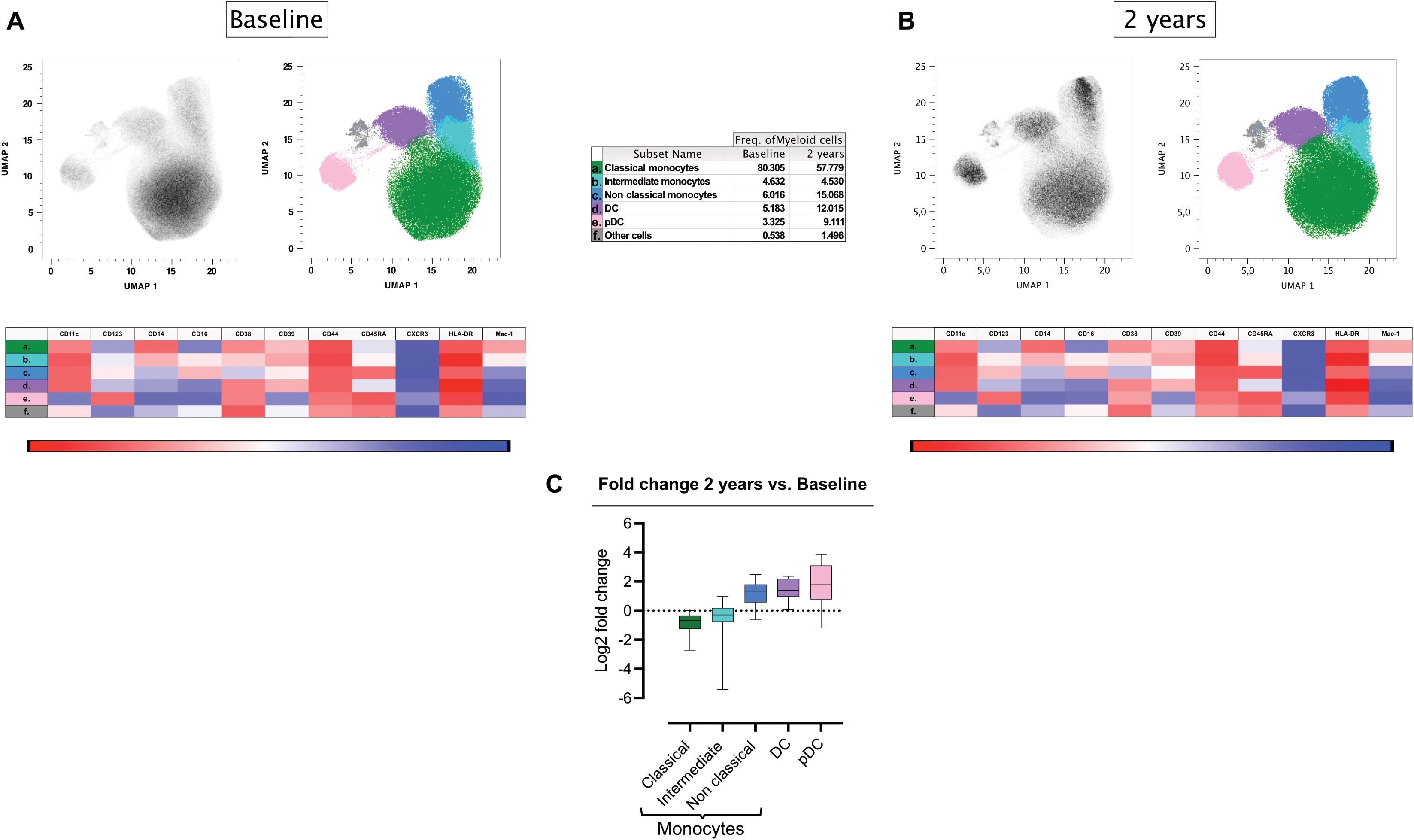 Comparison of myeloid cell subsets at baseline and after twoyears using UMAP plots, heatmaps, and a bar graph. Graph A shows baseline data with UMAP plots and a heatmap representing cell subsets and marker expression. Graph B presents similar data for two years. A table shows the frequency of myeloid cells across time points. Graph C illustrates the log two fold change of monocyte subsets after two years compared to baseline, showing variations across different cell types.