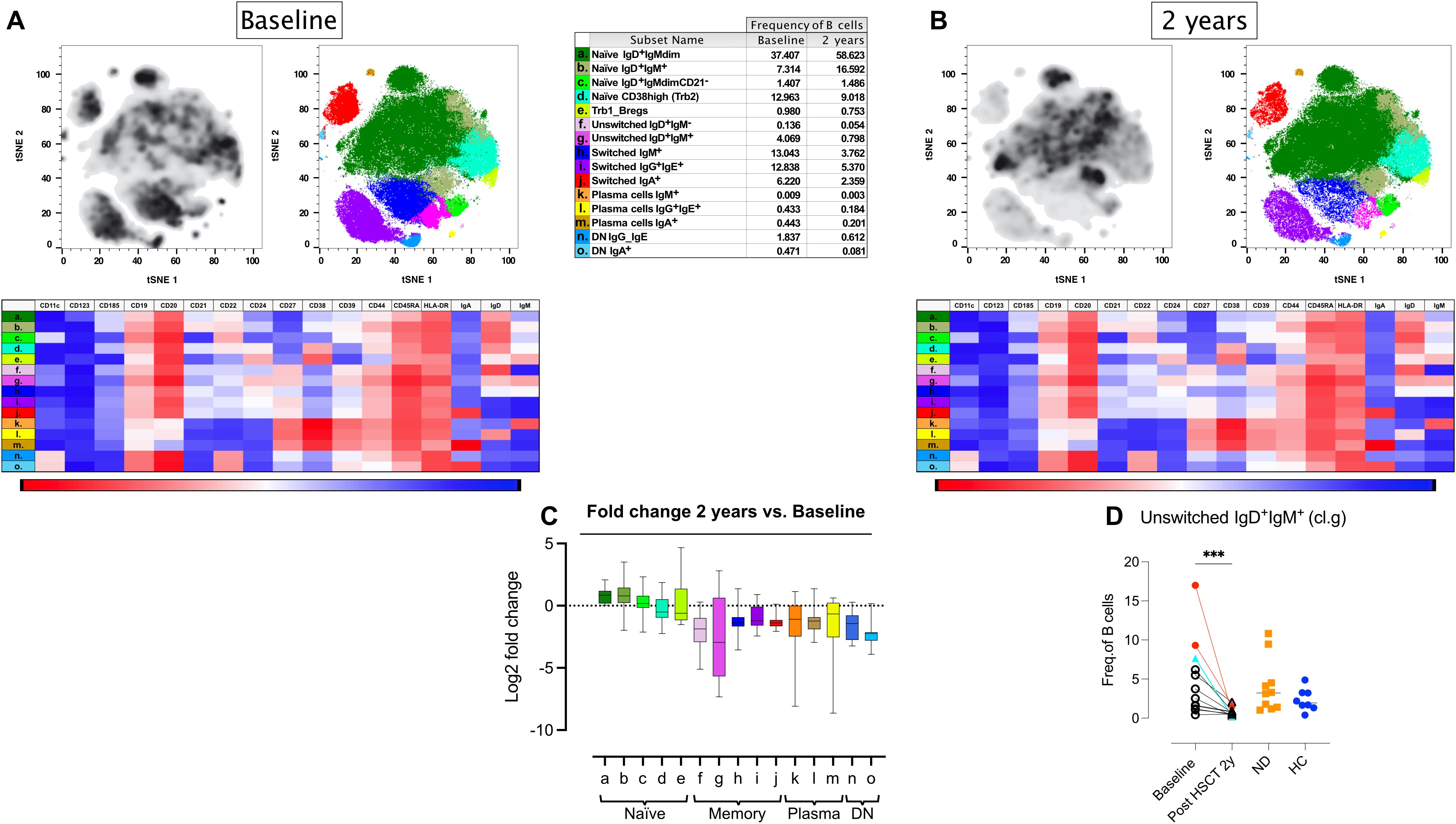 Panel A shows baseline data with t-SNE plots and a heat map,illustrating the frequency and characteristics of B cell subsets. Panel B depicts similar data at two years. Panel C presents a box plot of log2 fold change comparing two years with the baseline for various B cell subsets. Panel D shows a scatter plot of B cell frequencies in different groups, highlighting unswitched IgD+IgM+ cells with statistical significancemarked by asterisks.