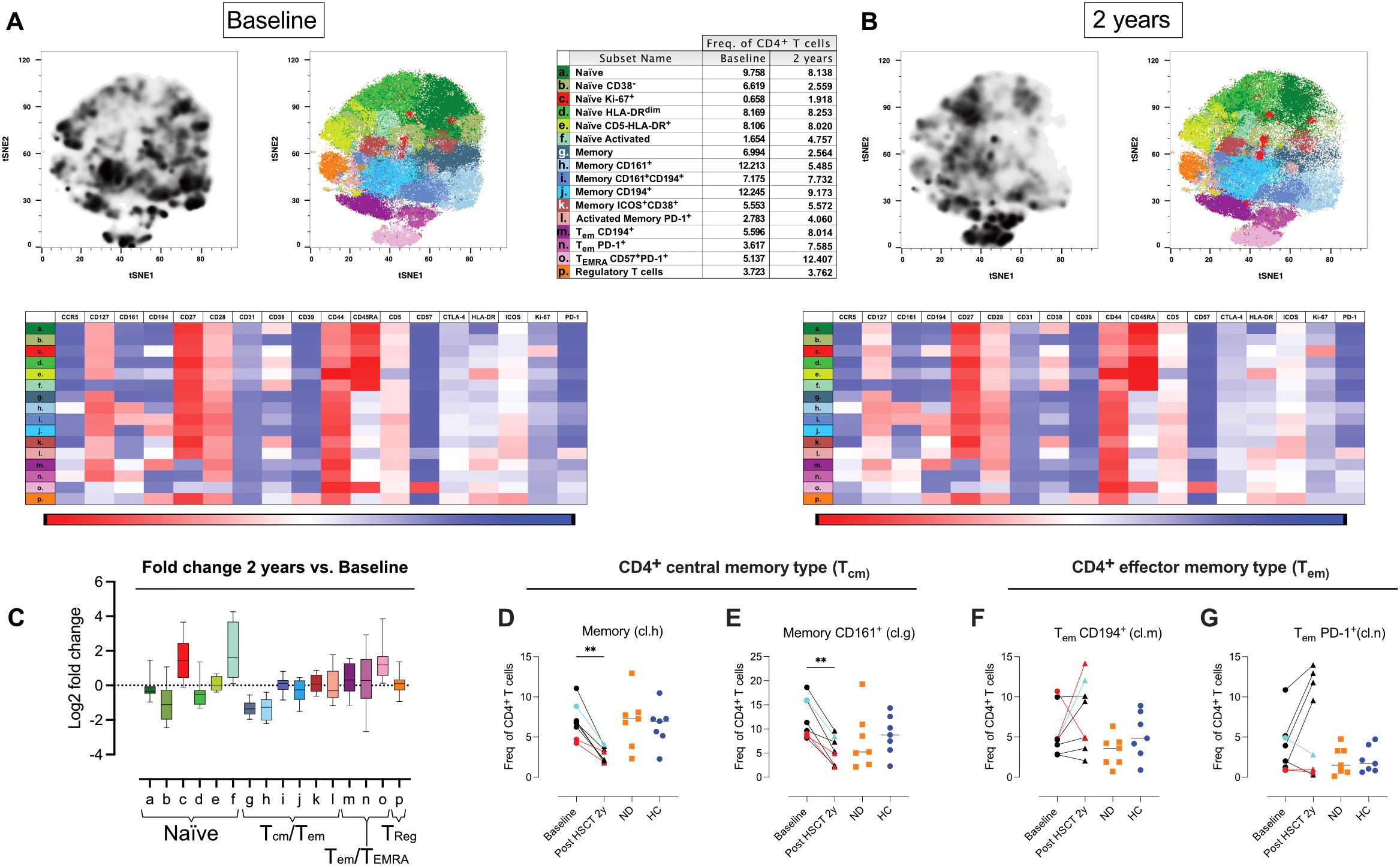 This image shows a comparison of CD4+ T cell subsets atbaseline and two years later. Panel A displays t-SNE plots and heatmaps of cellular frequencies and marker expression at baseline, while Panel B presents these data at the two-year mark. The heatmaps illustrate expression levels of various markers like CCR5, CD27, and CD38. Panel C shows a box plot illustrating the log2 fold change of different T cell subsets over two years. Panels D to G consist of scatter plots comparing the frequency of specific CD4+ T cell subsets across different conditions. A table details the frequency of T cell types at baseline and two years later.