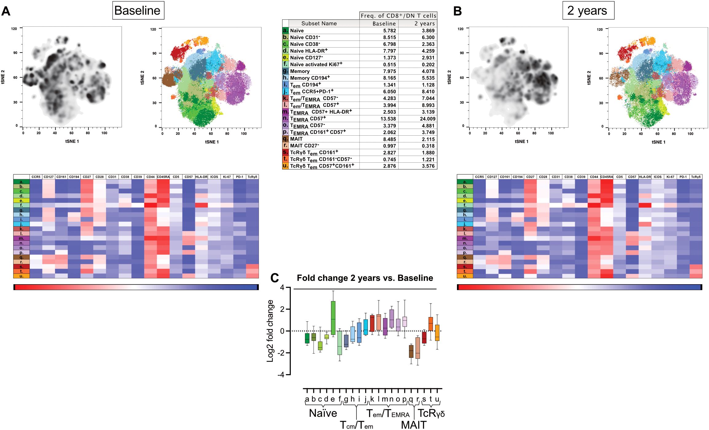 Panel A shows baseline T cell distribution. Panel B displays T celldistribution at two years. Both have t-SNE plots, frequency tables, and heatmaps for CD8 +/DN T cells. Panel C presents a box plot of log2 fold changes in T cell subsets from baseline to two years. Heatmaps show changes in markers like CCR5 and CD45RA.