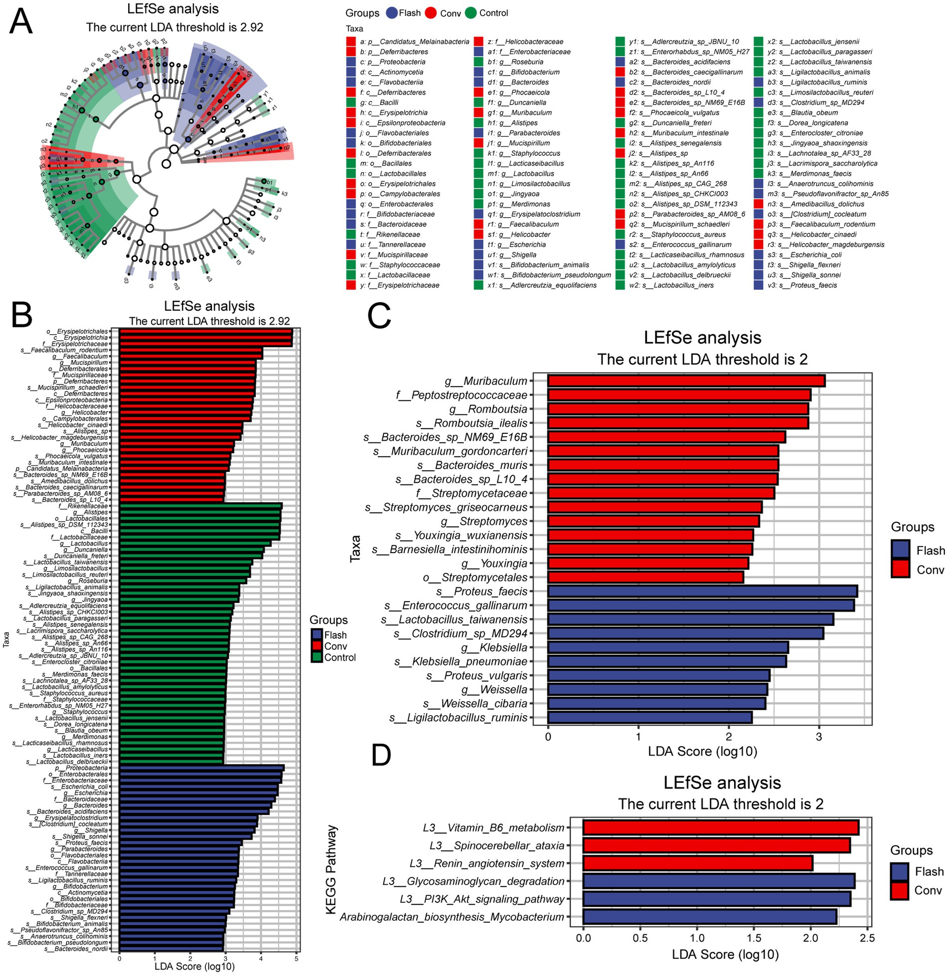 LEfSe analysis results shown in four panels. Panel A: Cladogram depicting taxa distributions among groups (Flash, Conv, Control) with LDA threshold 2.92. Panel B: Bar chart of taxa with significant LDA scores, Flash in red, Conv in green, Control in blue. Panel C: Bar chart of taxa with LDA threshold 2 between Flash and Conv groups. Panel D: KEGG Pathway analysis showing LDA scores for various pathways with thresholds of 2, comparing Flash and Conv groups.
