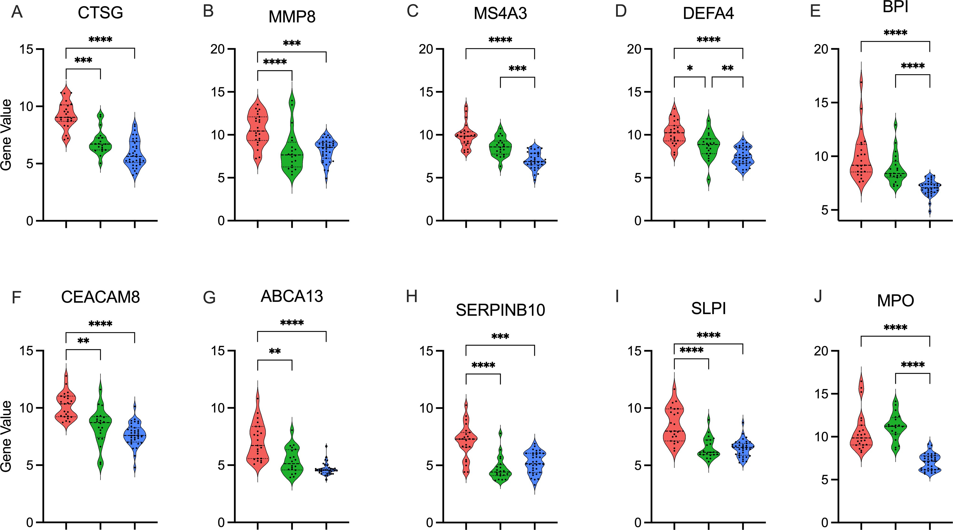 Violin plots depicting gene expression levels for ten genes (A to J: CTSG, MMP8, MS4A3, DEFA4, BPI, CEACAM8, ABCA13, SERPINB10, SLPI, MPO) across three groups. Statistical significance is indicated by asterisks, with differences observed between groups. Each plot shows gene values on the y-axis and comparison groups on the x-axis, with varied shapes and distributions.