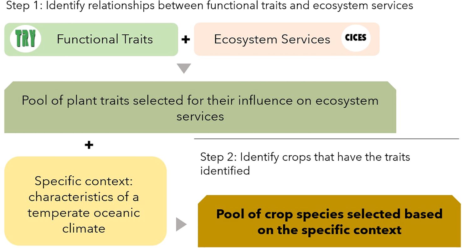 Flowchart illustrating a two-step process. Step 1 involves identifying relationships between functional traits and ecosystem services, resulting in a pool of plant traits selected for their ecosystem influence. Step 2 identifies crops with these traits and considers the specific context of a temperate oceanic climate, leading to a pool of crop species selected based on this context.