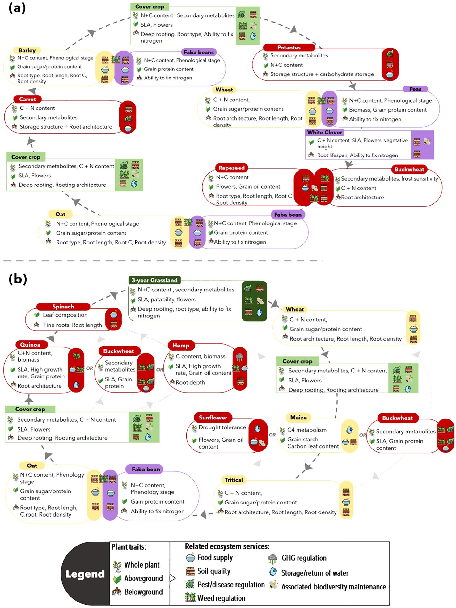 Diagram illustrating plant traits and related ecosystem services for various crops. Part (a) shows connections among crops like barley, faba beans, potatoes, and more, with traits like nitrogen content and root architecture linked to services such as food supply and soil quality. Part (b) shows an extended list including spinach, quinoa, hemp, and more. A legend describes symbols for whole plant, aboveground, and belowground traits related to services like greenhouse gas regulation and biodiversity maintenance. Arrows indicate relationships and interactions.