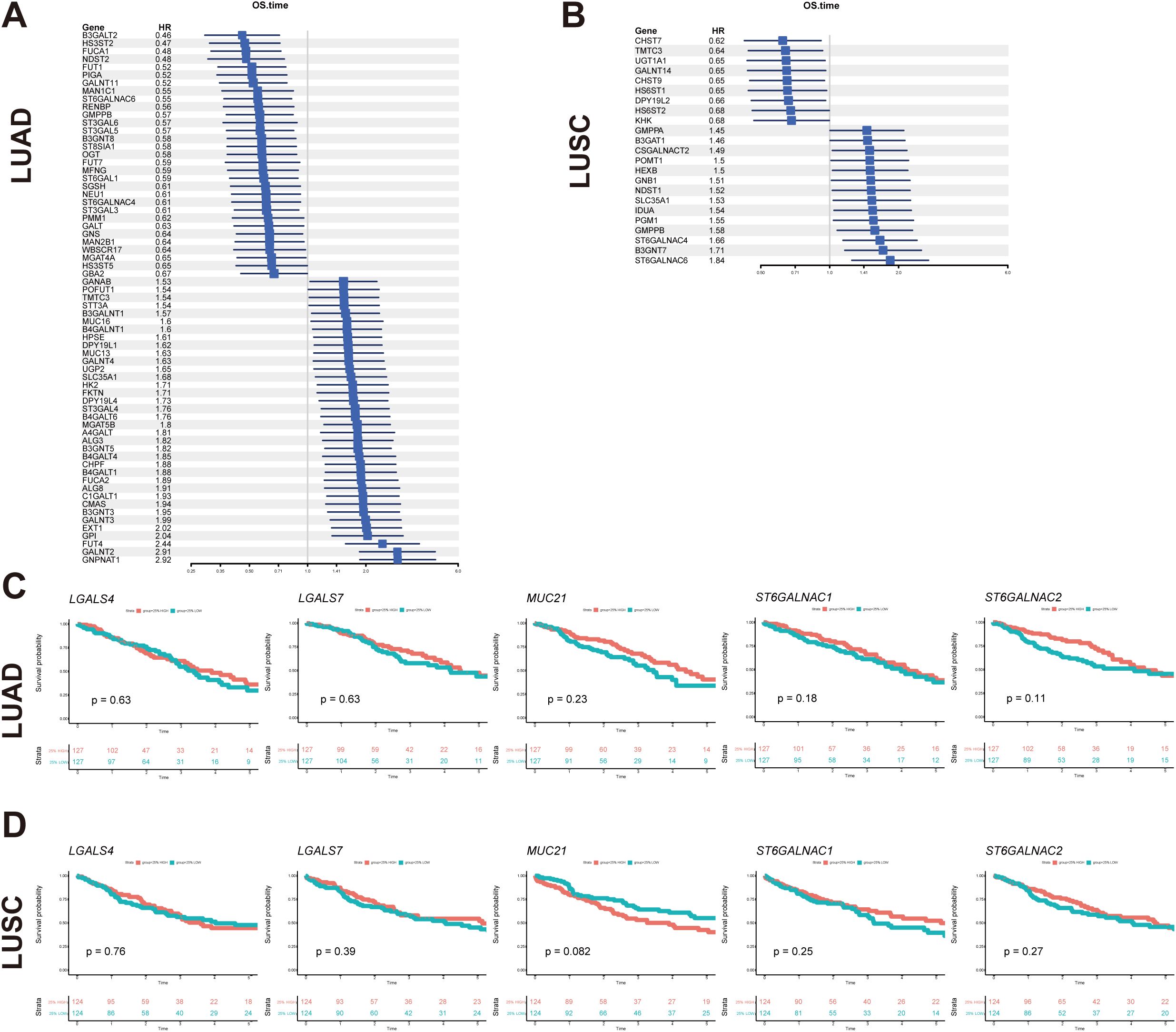 Charts visualize gene expression impacts on survival for LUAD and LUSC. Panels A and B show hazard ratios for various genes. Panels C and D display Kaplan-Meier survival curves for specific genes, with corresponding p-values indicating statistical significance.