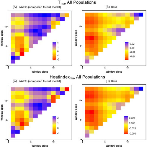 Four heatmaps display data for all populations. Panels A and C represent ΔAICc values compared to a null model, and panels B and D depict Beta values. The axes display open versus window close on a scale of zero to ten. Color gradients range from red to blue, indicating different data values.