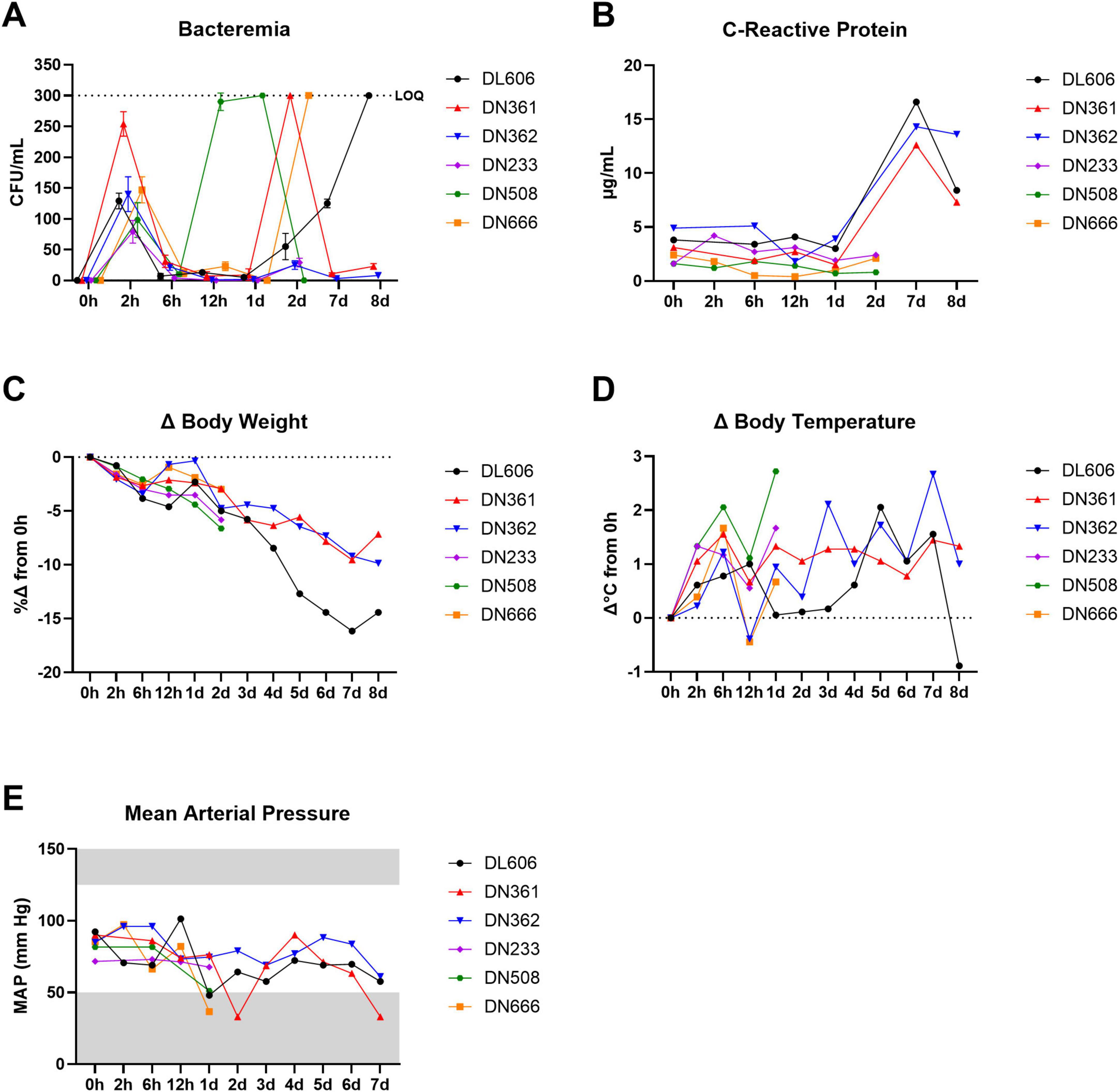 “Five line graphs depict various health metrics over time for different subjects labeled DL606, DN361, DN362, DN233, DN508, and DN666. A. Bacteremia: Shows fluctuating CFU/mL levels, peaking at 1 to 2 days. B. C-Reactive Protein: Moderate rise over time, spiking at 7 days. C. Body Weight Change: Consistent decline, especially for DL606. D. Body Temperature Change: Small variations over time, some increases. E. Mean Arterial Pressure: Relatively stable, with slight fluctuations. Each line represents a distinct subject, with colors corresponding to the legend.”