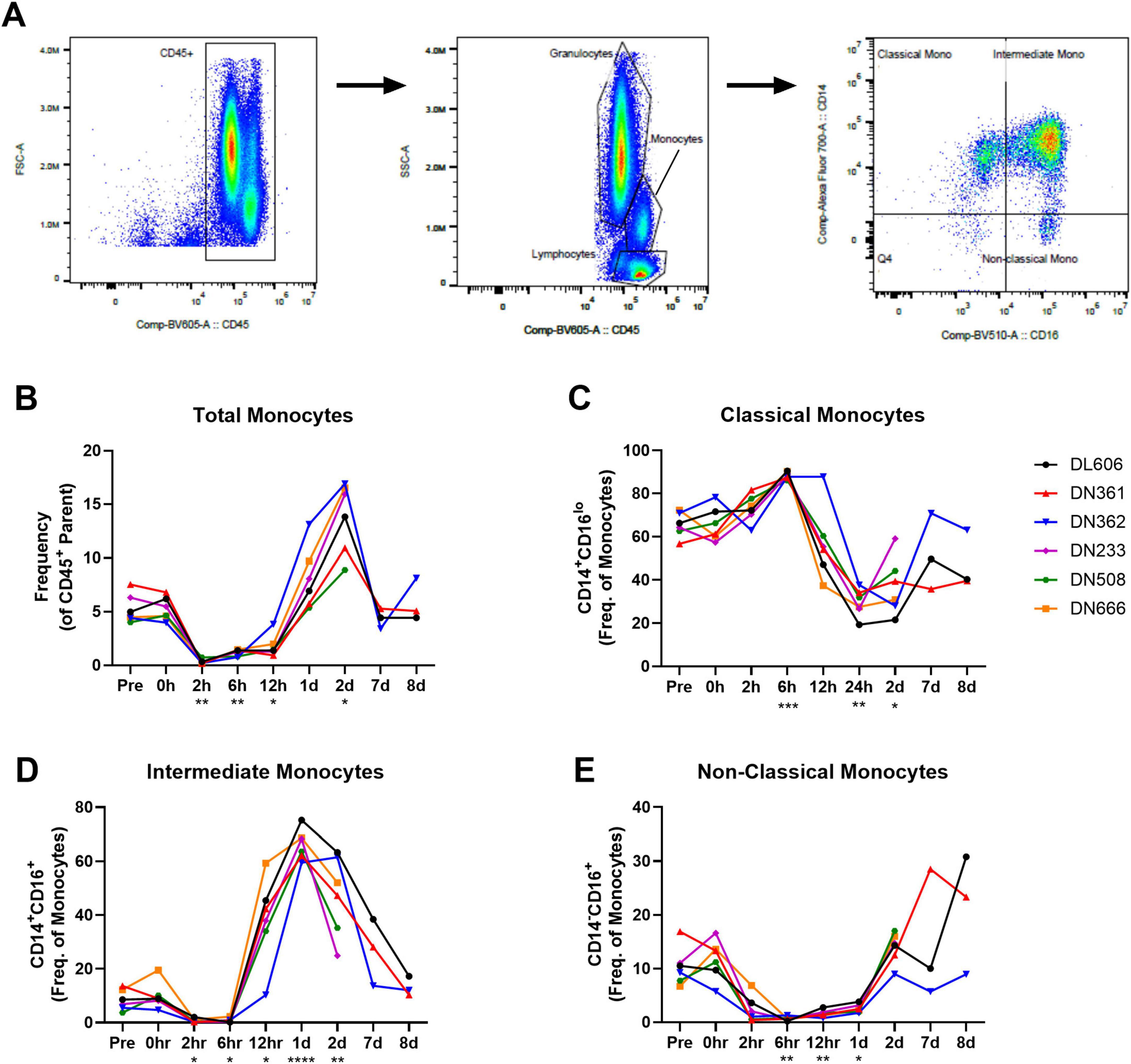 Flow cytometry plots and graphs illustrate monocyte analysis. Panel A shows gating for monocyte subsets: classical, intermediate, and non-classical. Panels B to E display time-course graphs of monocyte frequencies: total (B), classical (C), intermediate (D), and non-classical (E). Each graph shows different subject trends over time, with distinct lines representing various datasets labeled DL606, DN361, DN362, DN233, DN508, and DN666. Data points indicate significant changes at multiple time intervals.