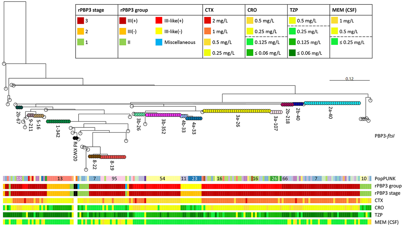 Phylogenetic tree displaying relationships among PBP3-ftsI types, with color-coded categories indicating PopPUNK strains and rPBP3 stages and groups. A heatmap shows minimum inhibitory concentration (MIC) for four beta-lactams (CTX, CRO, TZP, and MEM). The legends explain the color codes.