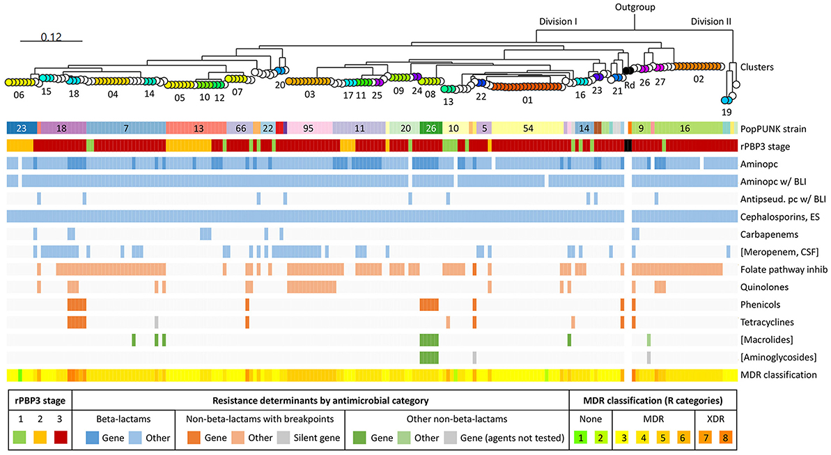Chart showing a phylogenetic tree with clusters labeled by numbers and colors. Below, color-coded categories indicate PopPUNK strains and rPBP3 stages. A heatmap displays the presence of resistance determinants across different antimicrobial categories, such as beta-lactams and quinolones. The key at the bottom right defines multidrug resistance classifications, including None, MDR, and XDR, with corresponding colors and numbers.