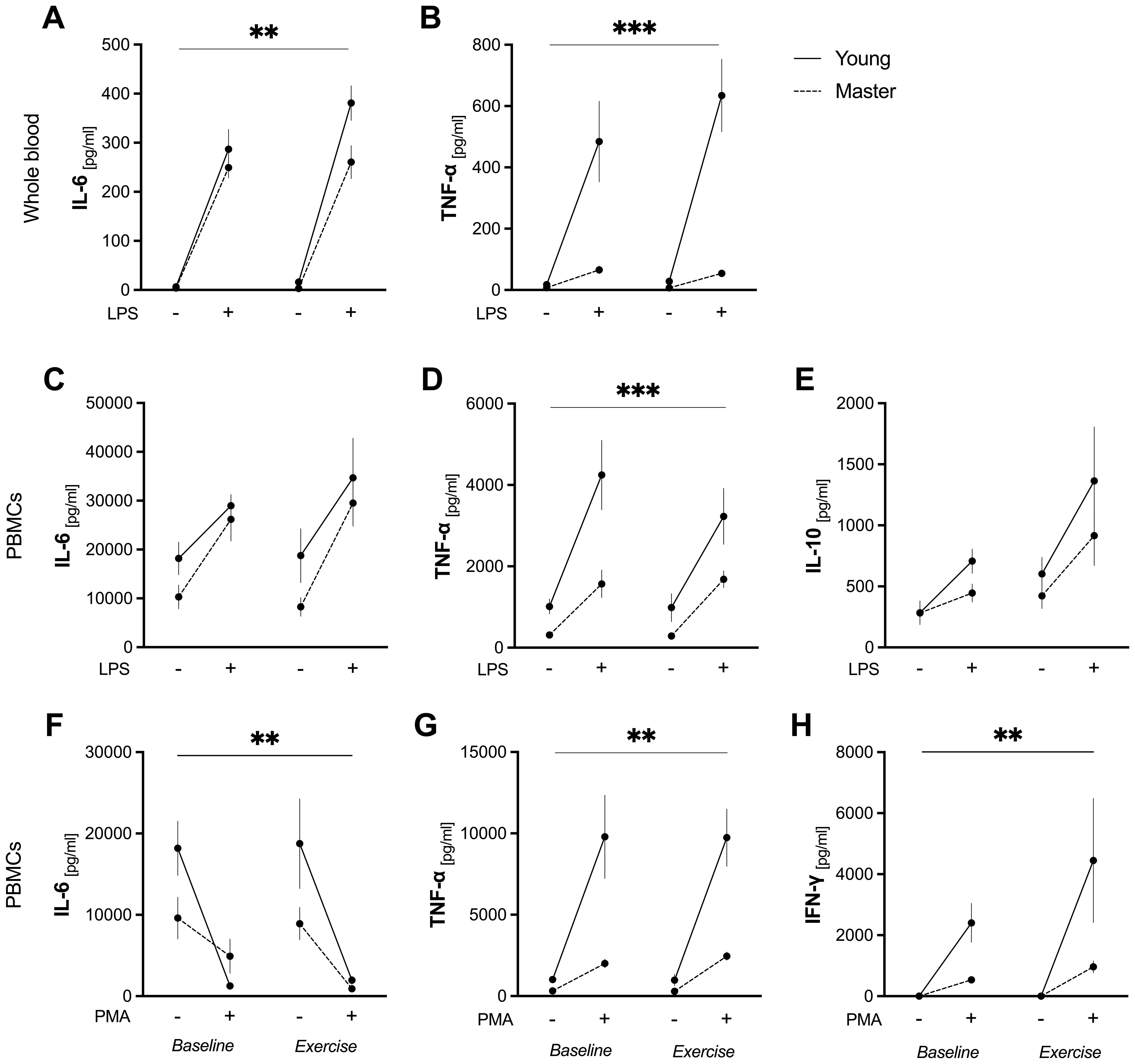 Graphs A to H display cytokine levels in young and master age groups after lipopolysaccharide (LPS) or PMA exposure, before and after a 30 min cycling bout. Charts illustrate IL-6, TNF-α, IL-10, and IFN-γ responses. Post‐exercise, LPS‐stimulated whole‐blood IL-6 increased in both groups (greater in young) and TNF-α only in young; in LPS‐stimulated PBMCs, TNF-α increased in young at both time points and in masters only post‐exercise (with masters’ baseline TNF-α lower than young); and PMA/ionomycin‐stimulated PBMCs showed a significant IL-6 decrease and TNF-α and IFN-γ increases exclusively in young athletes. Solid and dashed lines represent young and master groups, respectively.
