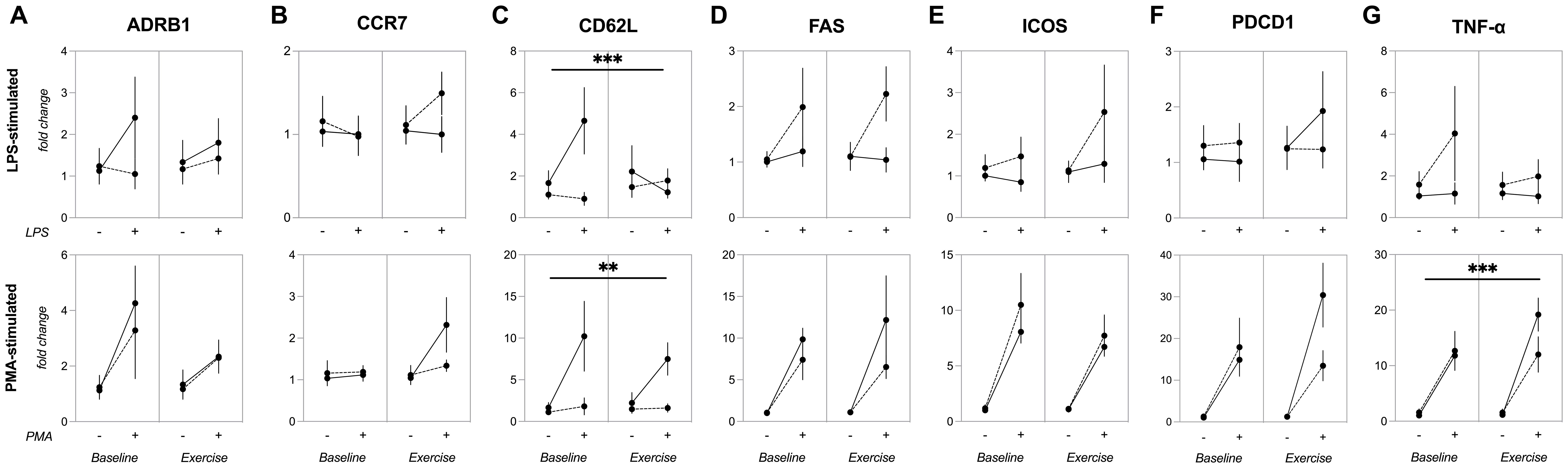 Graphs display fold change in seven genes (ADRB1, CCR7, CD62L, FAS, ICOS, PDCD1, TNF-α) under LPS and PMA stimulation at baseline and post-exercise. CD62L and TNF-α show significant differences, indicated by asterisks. Each panel shows two conditions with error bars.