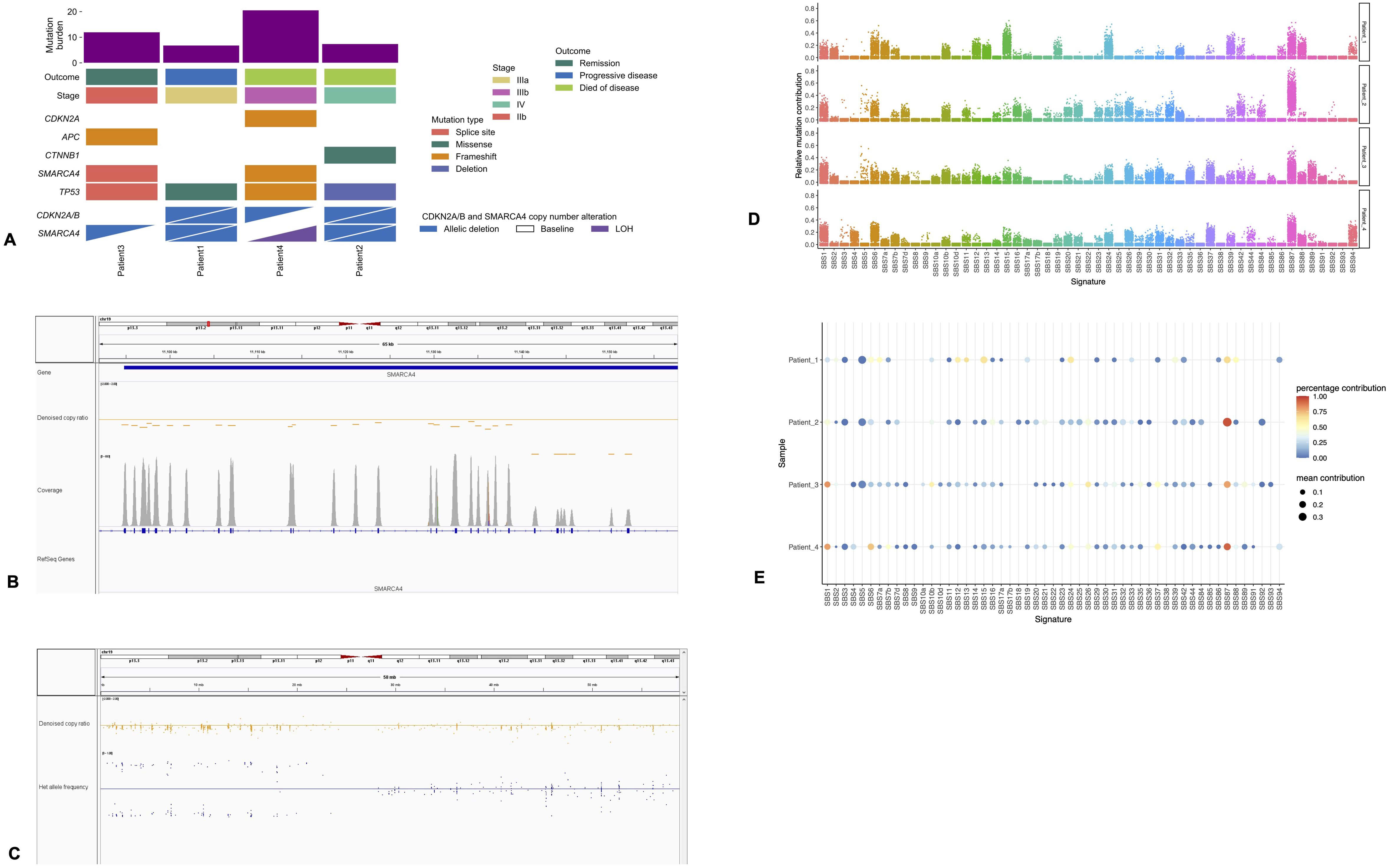 Five-panel figure displaying genomic data visualizations. Panel A shows stacked bar charts of mutations in different genes and clinical features across four patients, with color-coded keys for stage, mutation type, and outcome. Panel B displays the SMARCA4 gene copy number alteration with detailed graphs of copy ratio, and coverage,. Panel C presents copy ratio and heterozygous allele frequency data. Panel D illustrates refitting COSMIC mutational signatures in 1000 iterations across four patients, using colored scatter plots. Panel E features a bubble chart indicating percentage and mean contributions of different signatures to single base substitutions for four patients, with color and size representing values.