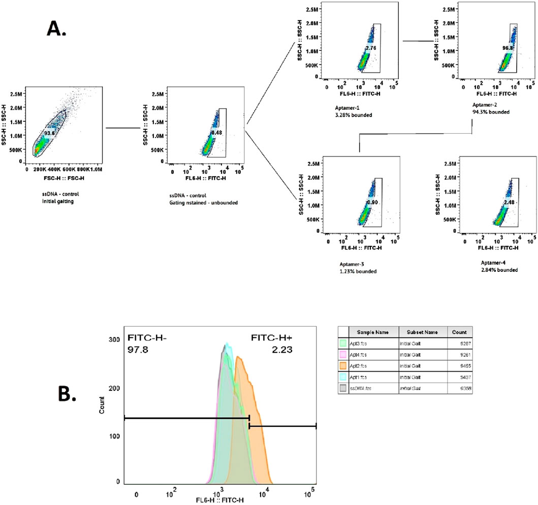 Flow cytometry data analysis showing cell populations. Part A includes scatter plots indicating the gating strategy for different aptamers, each labeled with the percentage of cells bounded: Aptamer-2 (94.3%), Aptamer-1 (3.26%), Aptamer-3 (1.23%), Aptamer-4 (2.84%). Part B depicts a histogram with FITC-H fluorescence intensities, and a table summaries initial gating counts for various samples.
