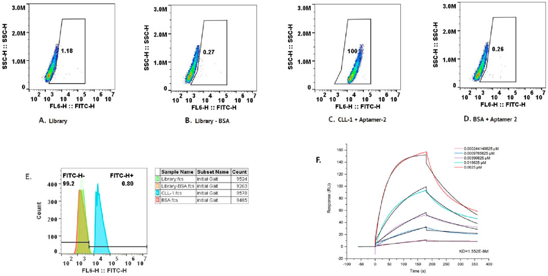 Flow cytometry and sensorgram data are shown. Panels A to D display scatter plots of SSC-H versus FITC-H: A shows Library, B shows Library - BSA, C shows CLL-1 + Aptamer-2, D shows BSA + Aptamer-2. Panel E is a histogram indicating FITC-H and FITC-H+ with sample counts. Panel F is a sensorgram illustrating response over time for various concentrations, with a KD value noted.