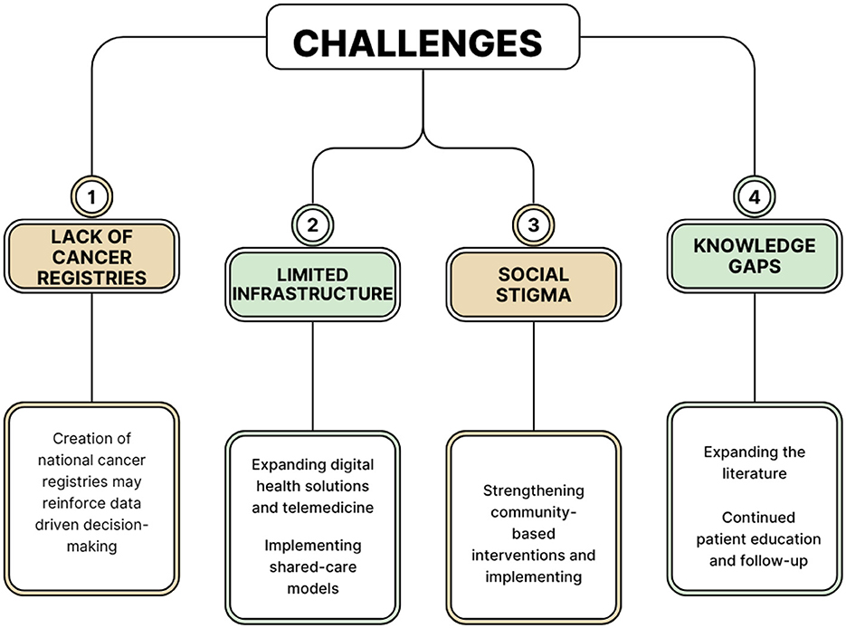 Flowchart titled “Challenges” with four main issues: 1) Lack of Cancer Registries - suggests creating registries for data-driven decision-making. 2) Limited Infrastructure - suggests expanding digital health and shared-care models. 3) Social Stigma - suggests strengthening community interventions. 4) Knowledge Gaps - suggests expanding literature and patient education.