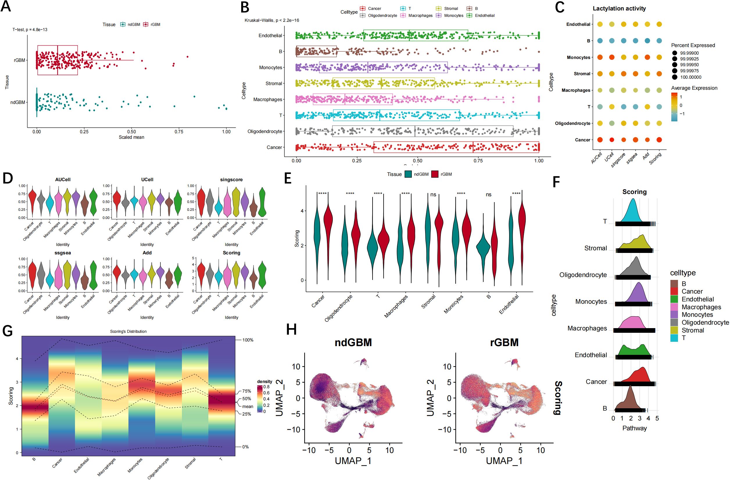 A composite image featuring various data visualizations about ndGBM and rGBM tissues. Panel A shows a scatter plot comparing tissue types. Panel B displays a dot plot illustrating Kruskal-Wallis test results across cell types. Panel C features a bubble plot of lactylation activity by cell type. Panel D presents violin plots for different expression scoring methods. Panel E shows a comparison of scoring between tissues using violin plots. Panel F includes histograms of scoring by cell type. Panel G shows a density distribution plot of scores across different cell types. Panel H features UMAP scatter plots for ndGBM and rGBM tissues.
