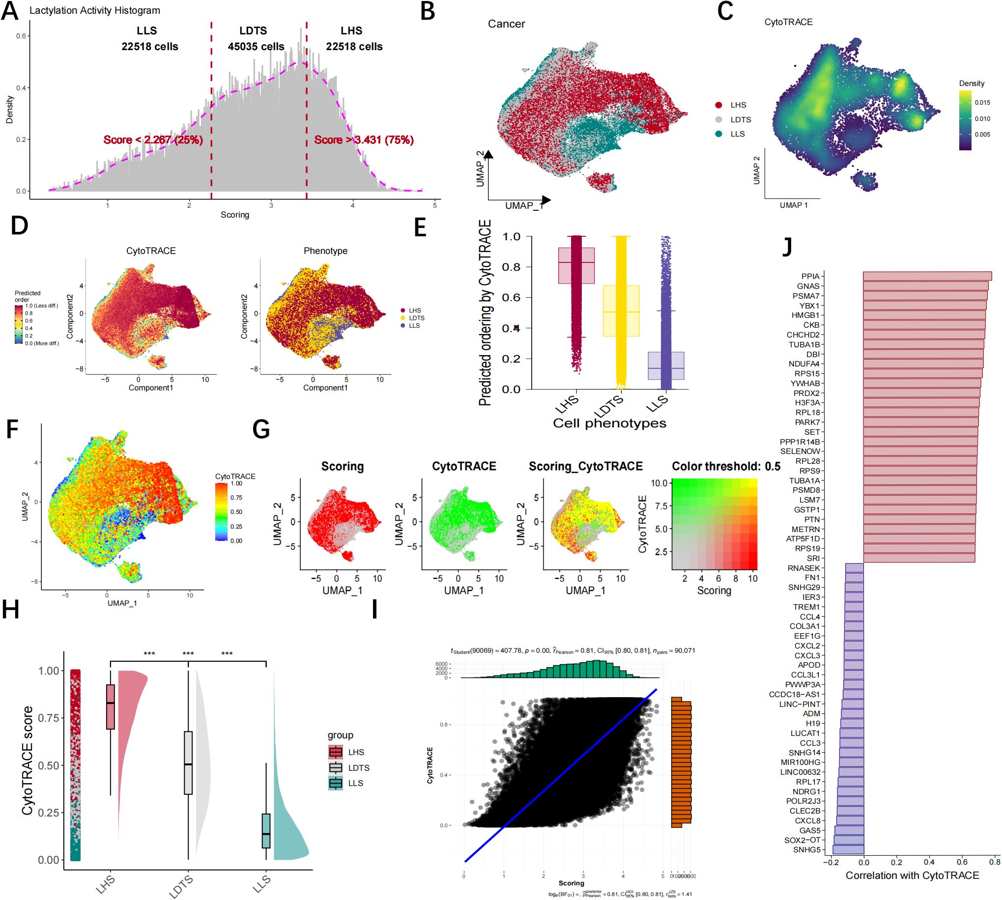 Multiple data visualizations related to CytoTRACE and cell scoring are shown. A histogram (A) displays ladelation activity with scoring. UMAP plots (B, C, D, F, G) illustrate various cell densities and phenotypes, with areas such as cancer marked. A box plot (E) presents predicted ordering across cell phenotypes. A correlation analysis (I) shows a scatter plot and distributions related to CytoTRACE scores. A bar graph (J) indicates correlations between genes and CytoTRACE. A ridge plot (H) contrasts CytoTRACE scores across groups, LHS, LDTS, and LLS.