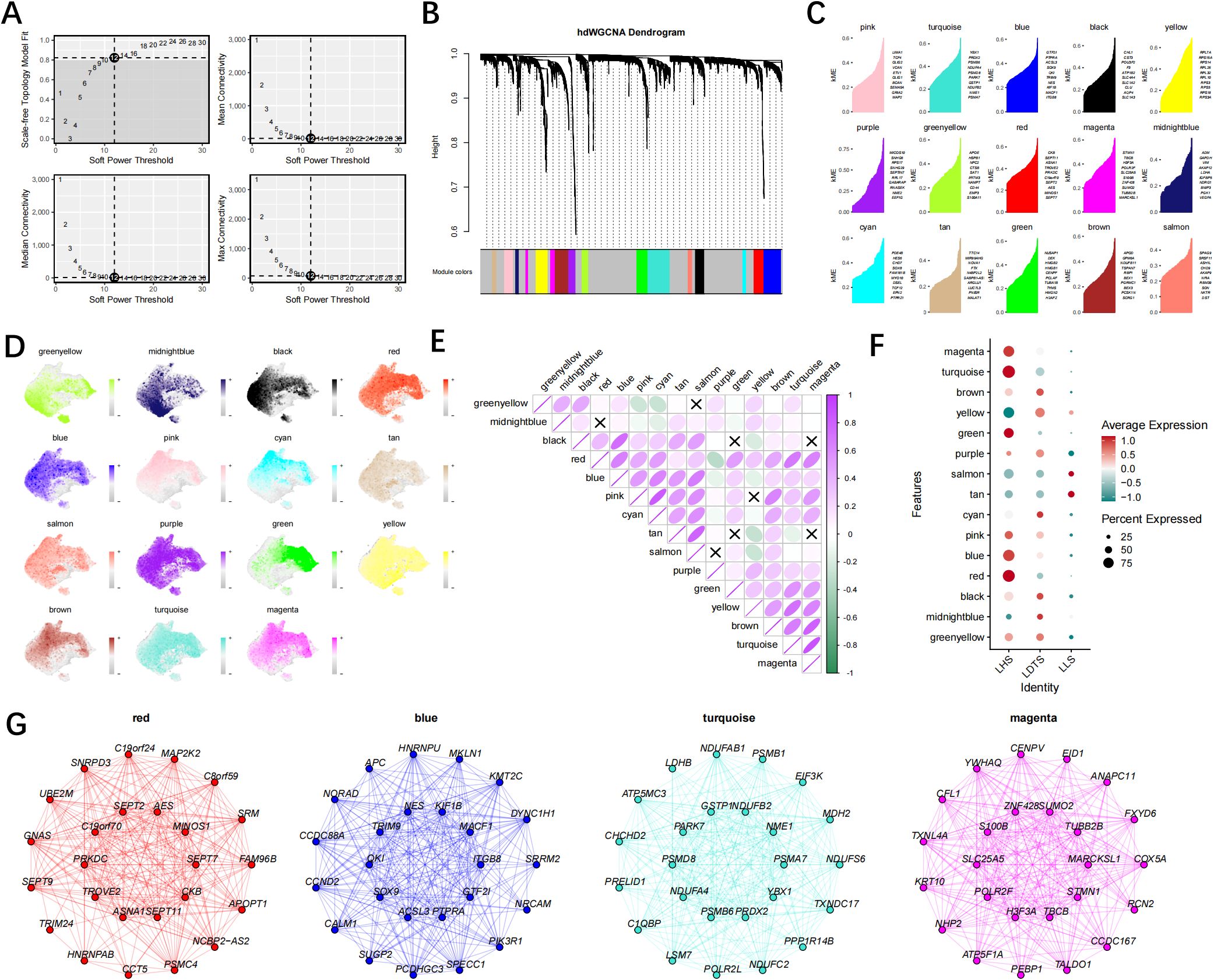 A collection of data visualizations related to gene expression analysis: (A) Four graphs showing metrics against soft power thresholds in network analysis. (B) Dendrogram with module color identification. (C) Bar graphs of module feature statistics. (D) UMAP plots depicting clusters colored by module association. (E) Heatmap matrix of module correlations. (F) Dot plot indicating average expression and percent expressed for different features. (G) Network diagrams for red, blue, turquoise, and magenta modules.