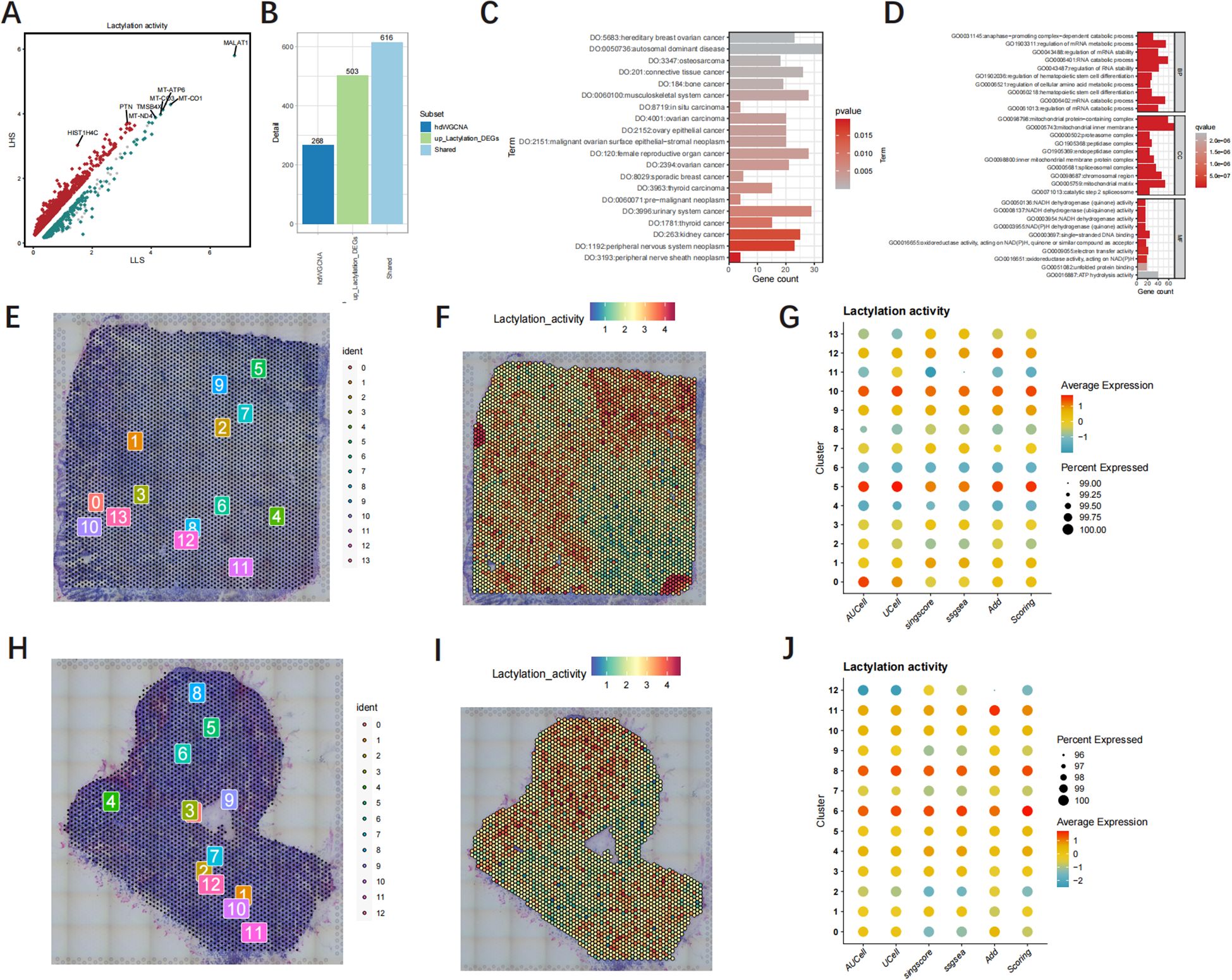 A collection of scientific visualizations includes: A) a scatter plot showing lacylation activity versus LLS, highlighting specific genes; B) a bar graph comparing gene counts across different subsets; C) a bar chart with gene counts and p-values for various diseases; D) a bar graph for gene counts and molecular functions; E and H) diagrams marking clusters on a tissue sample with identifiers; F and I) heatmaps displaying lacylation activity intensity; G and J) dot plots illustrating lacylation activity across clusters, with color coding for expression levels and bubble size indicating percent expression.