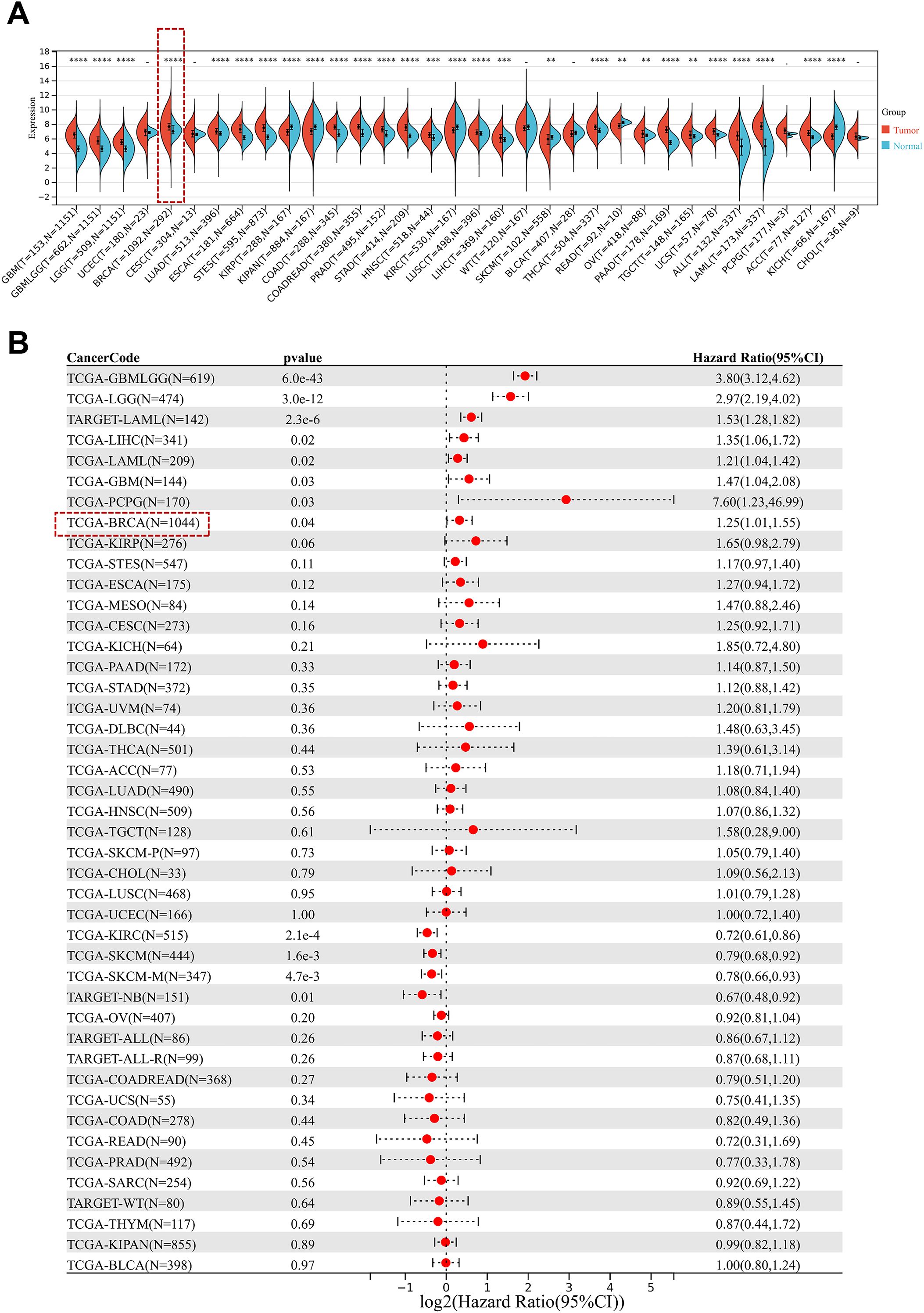 Panel A shows a violin plot comparing gene expression levels between tumor and normal samples across various cancer types, with higher expression noted in tumors. Panel B displays a forest plot of hazard ratios for different cancer types, highlighting breast cancer (TCGA-BRCA) with a significant hazard ratio of 1.25, indicating its potential impact on survival outcomes.