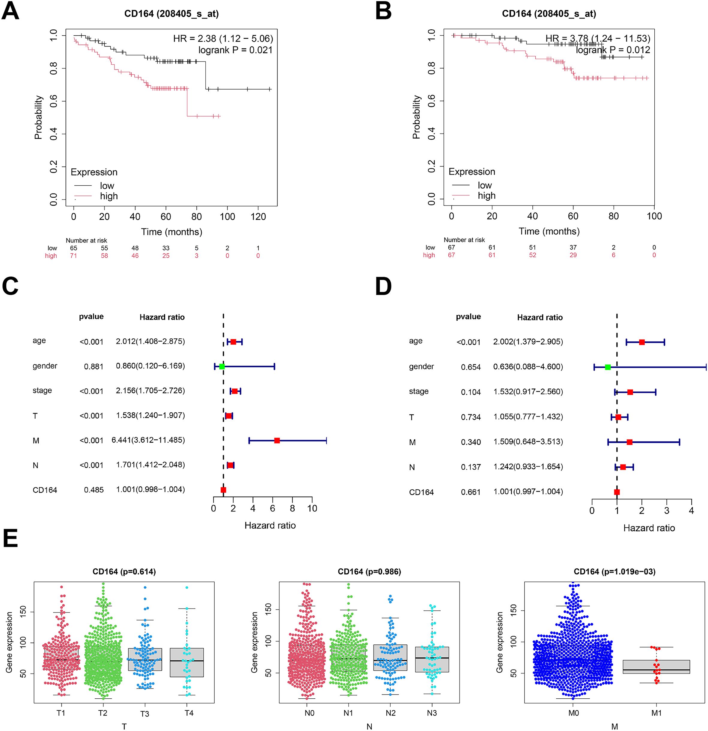 Kaplan-Meier survival curves and forest plots for CD164 expression analysis. A: Curve showing high versus low expression with a hazard ratio of 2.38 over 120 months. B: Curve with a hazard ratio of 3.78 over the same period. C: Forest plot for various factors, including age and stage, with hazard ratios and confidence intervals. D: Another forest plot for similar factors, highlighting significant associations. E: Box plots displaying gene expression levels across different groups (T1-T4, N0-N3, M0-M1) with p-values indicating significance.