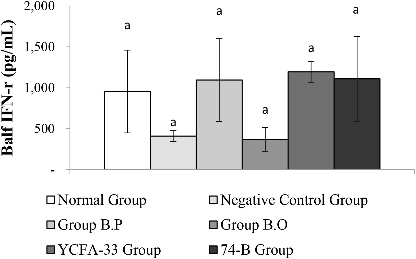 Bar chart showing Balf IFN-r levels in picograms per milliliter across six groups: Normal, Negative Control, Group B.P, YCFA-33, Group B.O, and 74-B. The YCFA-33 group has the highest mean value with significant variation. Annotated letter “a” indicates statistically significant differences.