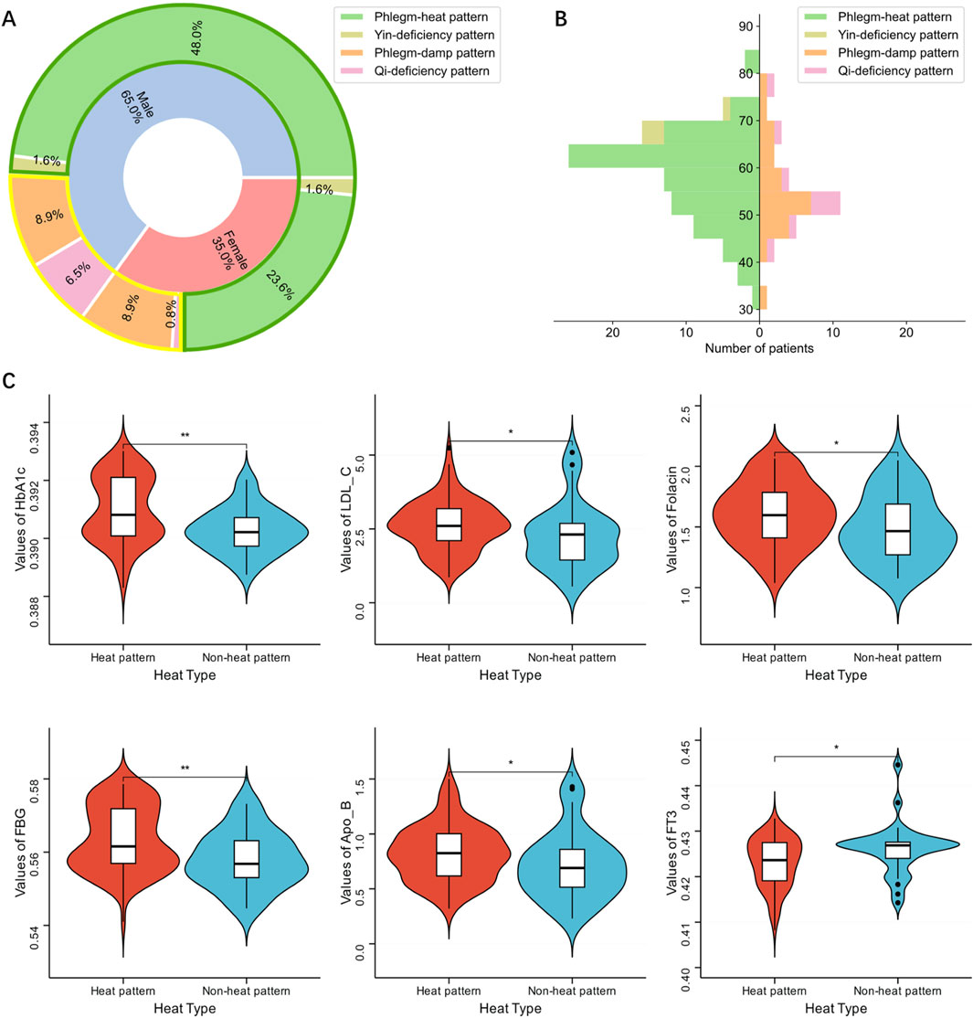 A multi-panel image illustrating patient data and heat patterns. Panel A: A donut chart showing the distribution of patients by heat pattern types, predominantly phlegm-heat at 71.6%. Panel B: A bar chart displaying age structure of patients with different heat types. Panel C: Violin plots comparing various laboratory indicators across heat pattern and non-heat pattern groups, indicating differences in values like HbA1c, LDL-C, Folacin, FBG, Apo-B, and FT3, with statistical significance marked by asterisks.