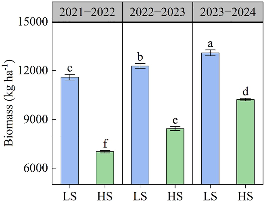 Bar chart showing biomass in kilograms per hectare across three years: 2021 to 2024. Each year is divided into LS and HS categories. Biomass values progressively increase from 2021-2022 to 2023-2024, with LS consistently higher than HS. Specific letters indicate statistical significance among the data points.