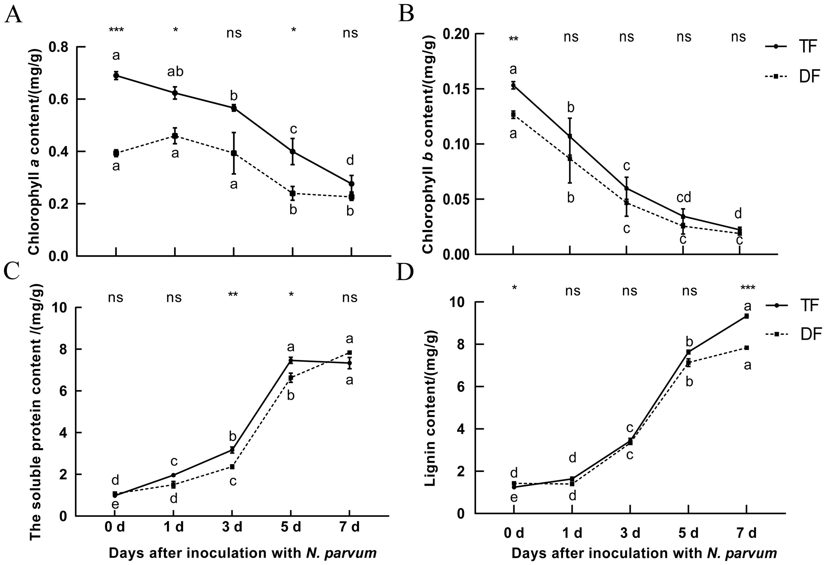 Graphs A to D show changes in chlorophyll a, chlorophyll b, soluble protein, and lignin content over days after N. parvum inoculation. Solid (TF) and dashed (DF) lines indicate trends. Statistical significance is marked by asterisks.
