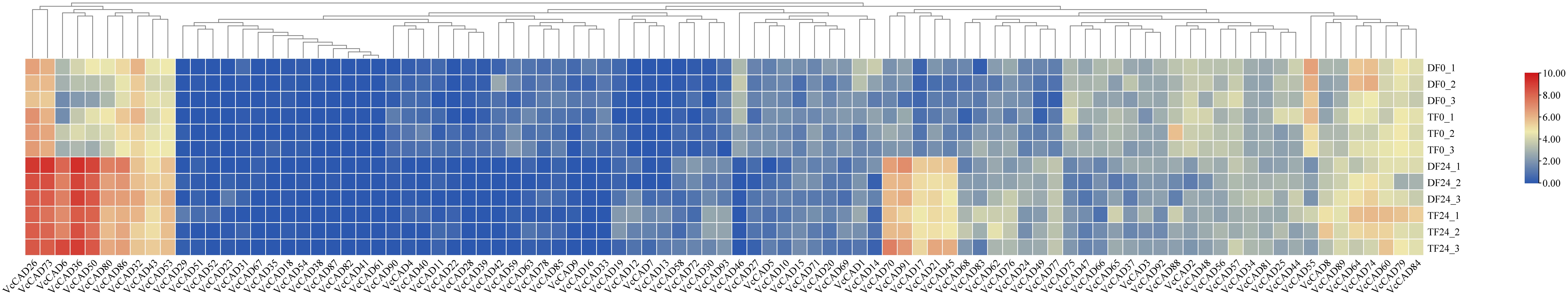 Heatmap showing clustered data, with rows labeled DFO_1 to TF24_3 and columns labeled VCAD125 to VCAD8. Colors range from blue to red, indicating values from zero to ten. Dendrograms are displayed across the top and left sides.