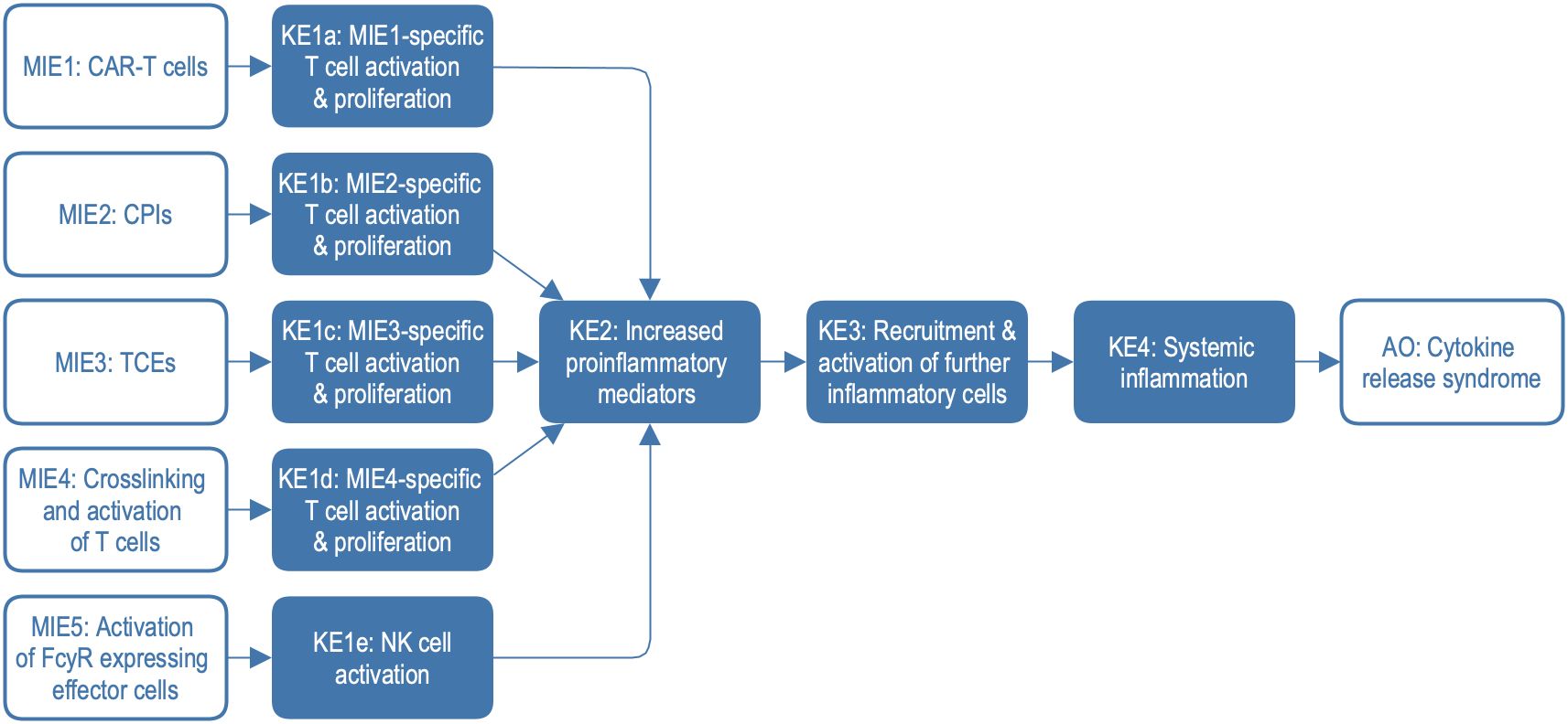 Flowchart detailing the progression from molecular initiating events (MIE) to adverse outcomes (AO) in immune activation. MIEs include CAR-T cells, CPIs, TCEs, and activation pathways. These lead to key events (KE) of specific T cell and NK cell activations. These activations increase proinflammatory mediators, further recruiting and activating inflammatory cells. This sequence results in systemic inflammation and cytokine release syndrome.