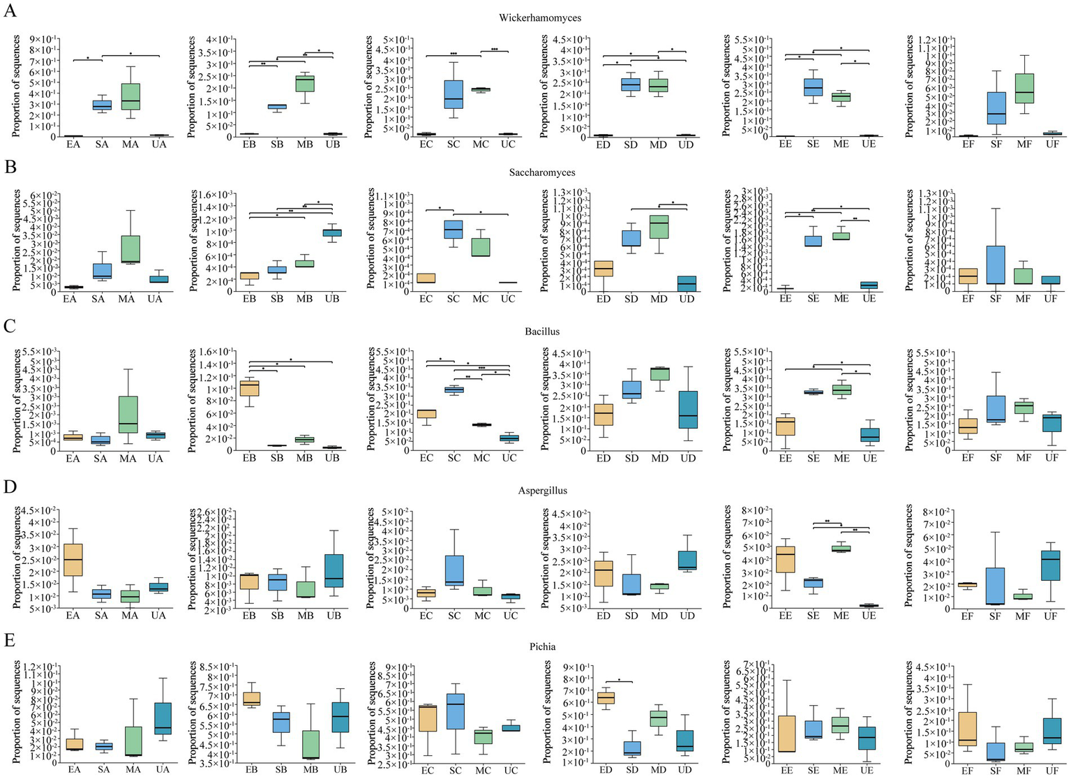 Box plots displaying the proportions of sequences across various categories for five different groups labeled A to E. Each group represents different genera: Wickerhamomyces, Saccharomyces, Bacillus, Aspergillus, and Pichia. Categories within each group include various biological conditions or sample points, denoted by different initials (e.g., EA, SA, MA, UA). Statistical significance is indicated with asterisks above certain comparisons within each plot.