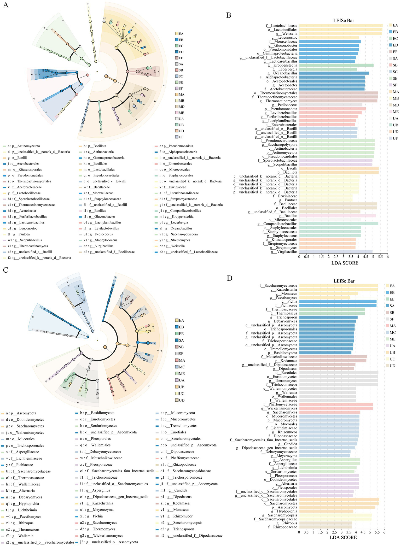Phylogenetic trees (A and C) and LEfSe bar charts (B and D) display microbial community structures and significant taxonomic differences. Each section of the trees and corresponding bars represents different microbial groups, color-coded by classification. LEfSe bar charts show LDA scores, indicating the impact of each group on community differences. Labels denote specific taxa, illustrating the diversity and significance within the samples.