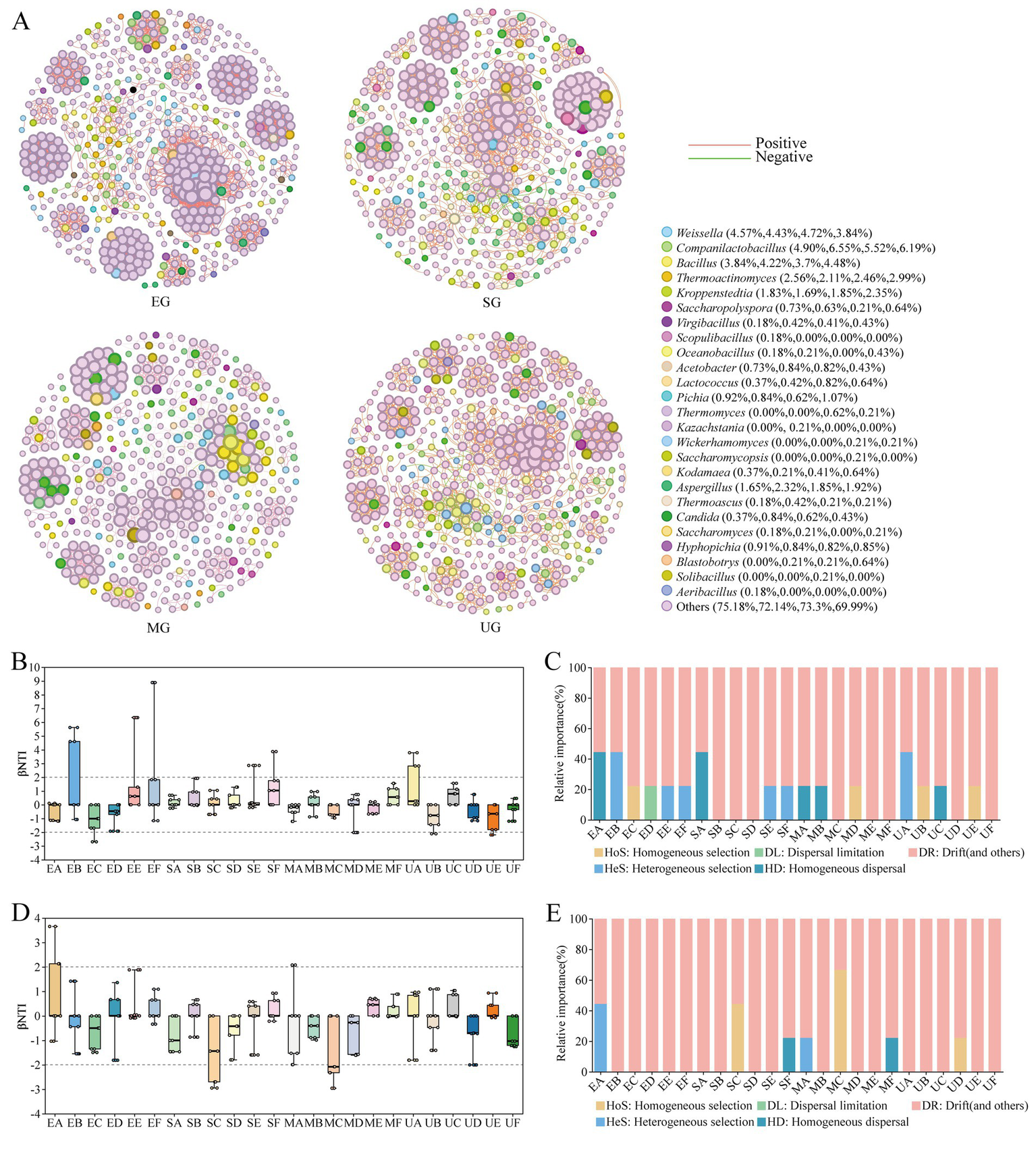 The image shows a collection of scientific data visualizations. Panel A consists of four bubble diagrams representing microbial compositions labeled EG, SG, MG, and UG, with positive and negative markers. Panel B and D are box plots labeled with various codes, measuring an unidentified variable across different samples. Panels C and E are bar charts illustrating the relative importance of factors like homogeneous selection and dispersal limitation, with legend explanations for each factor. Various microbial species are indicated with different colors and percentages.